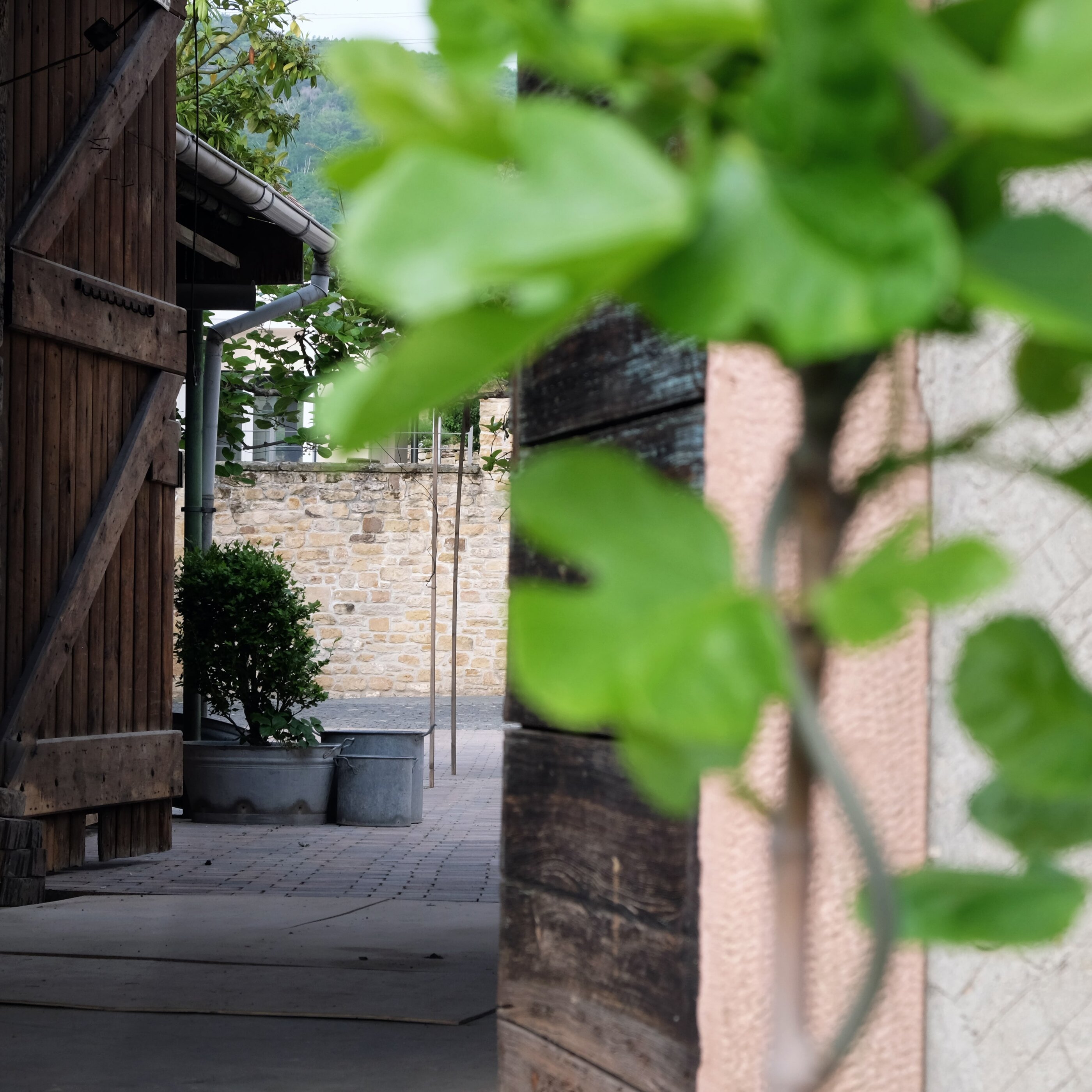 Detail: Blick in den Hof von Schockelgaul
