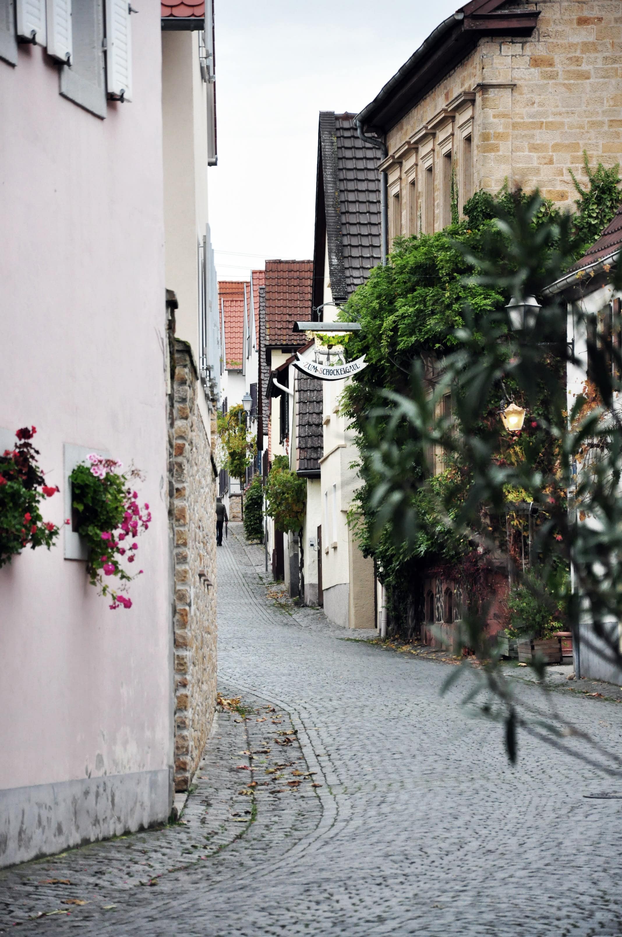 Blick in eine Straße, Schockelgaul
