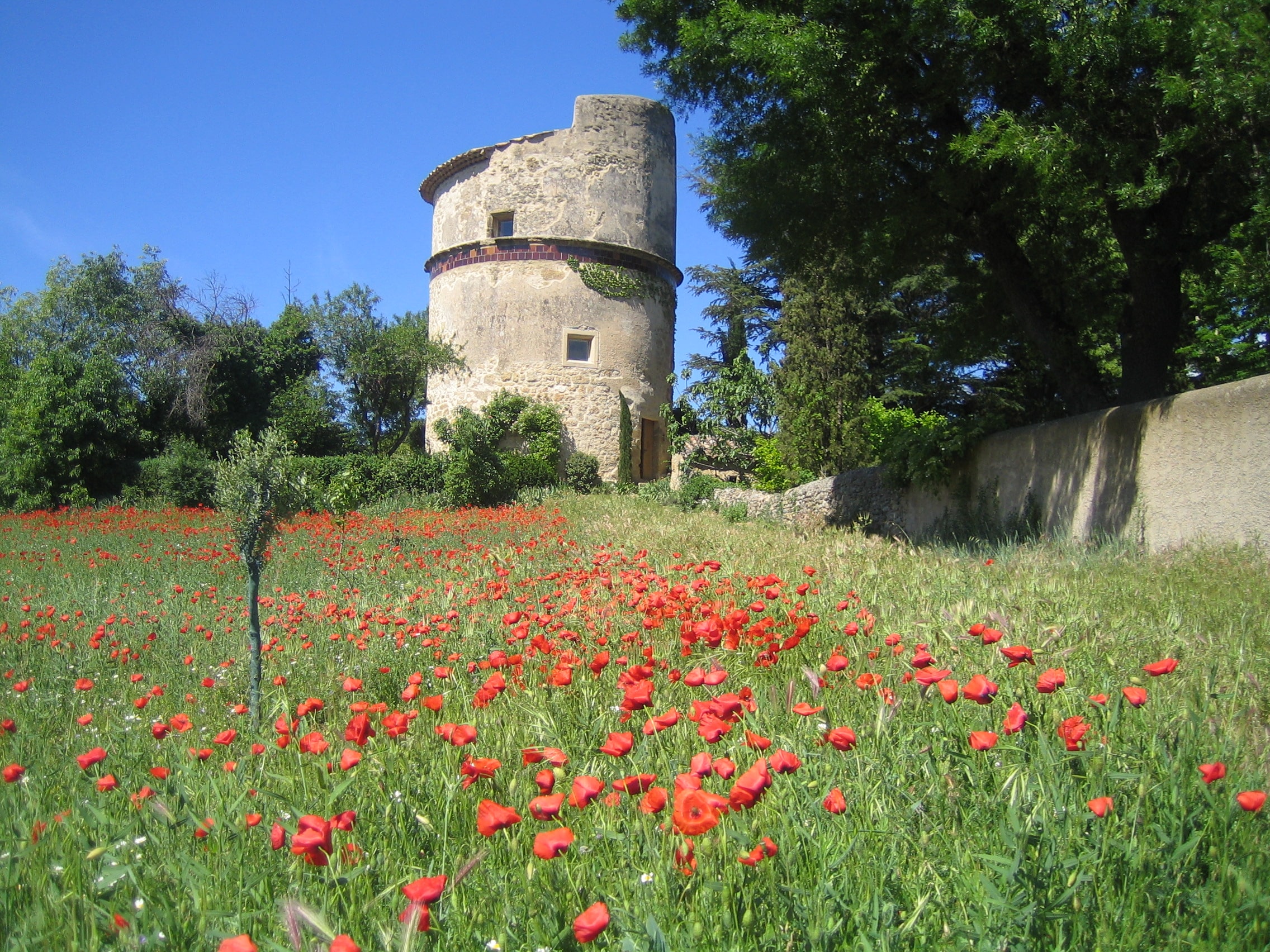 Turm mit blühender Wiese davor, Le Pigeonnier