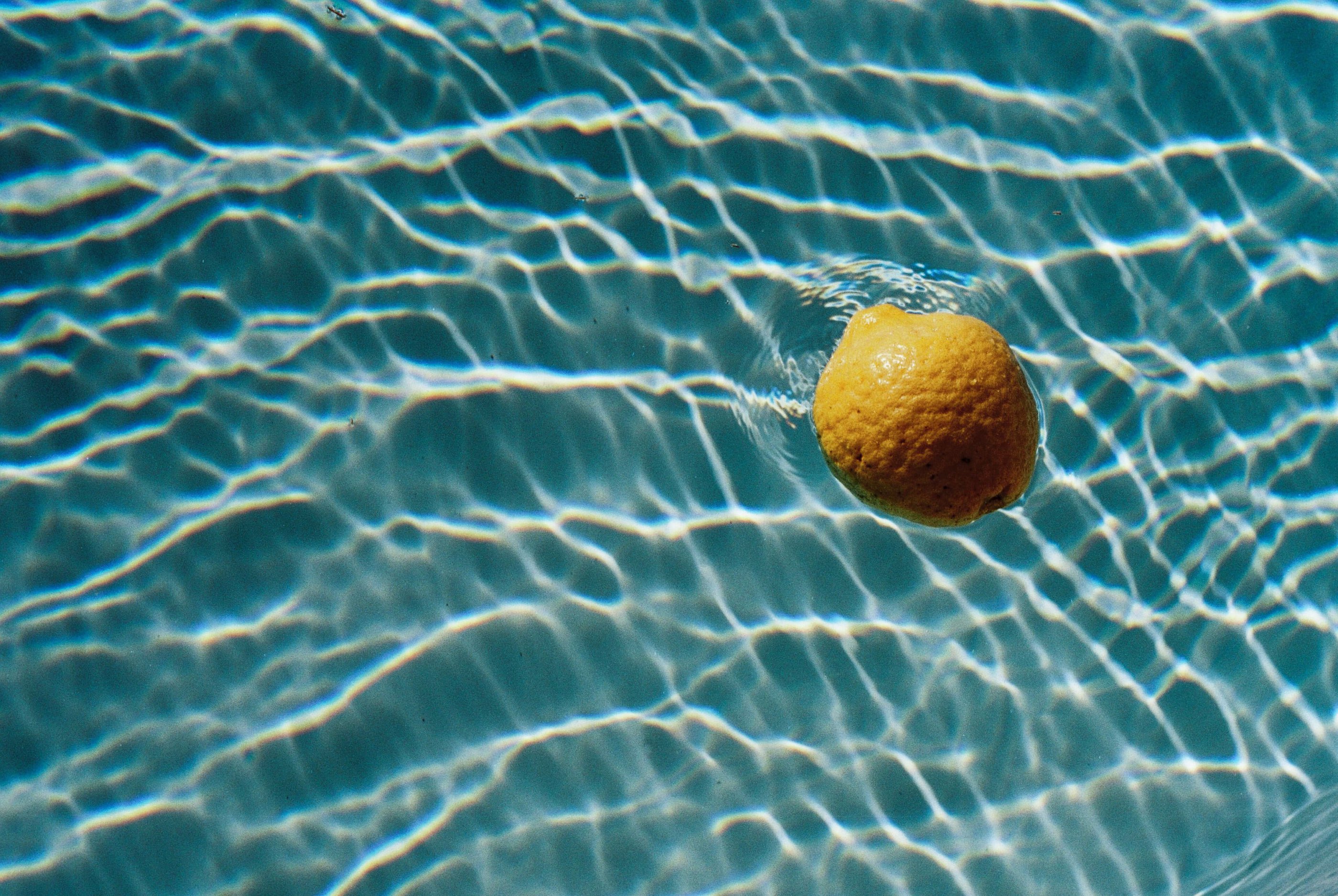 Zitrone im Pool in der Villa Arnica