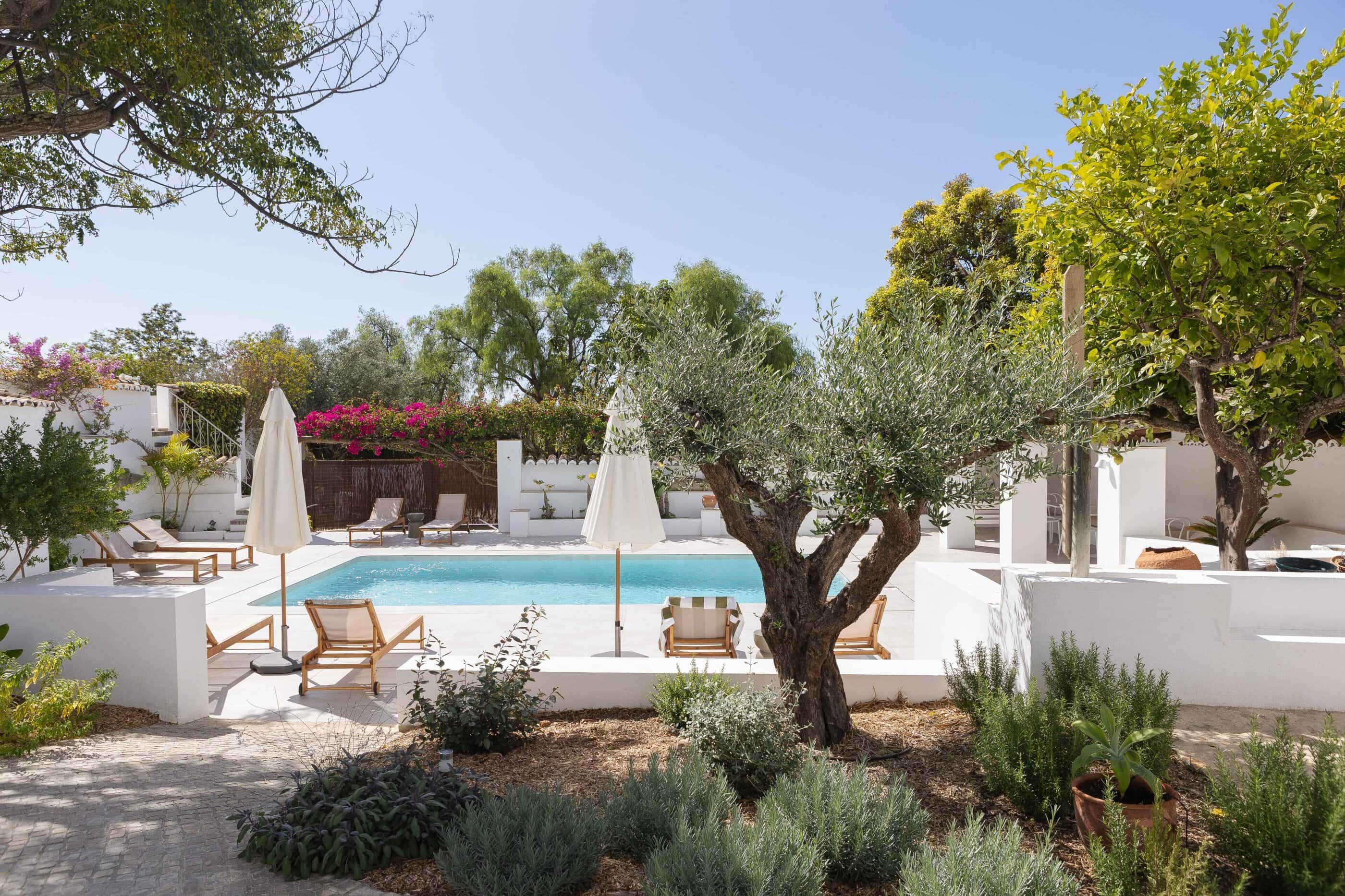 Pool am Ferienhaus âmago