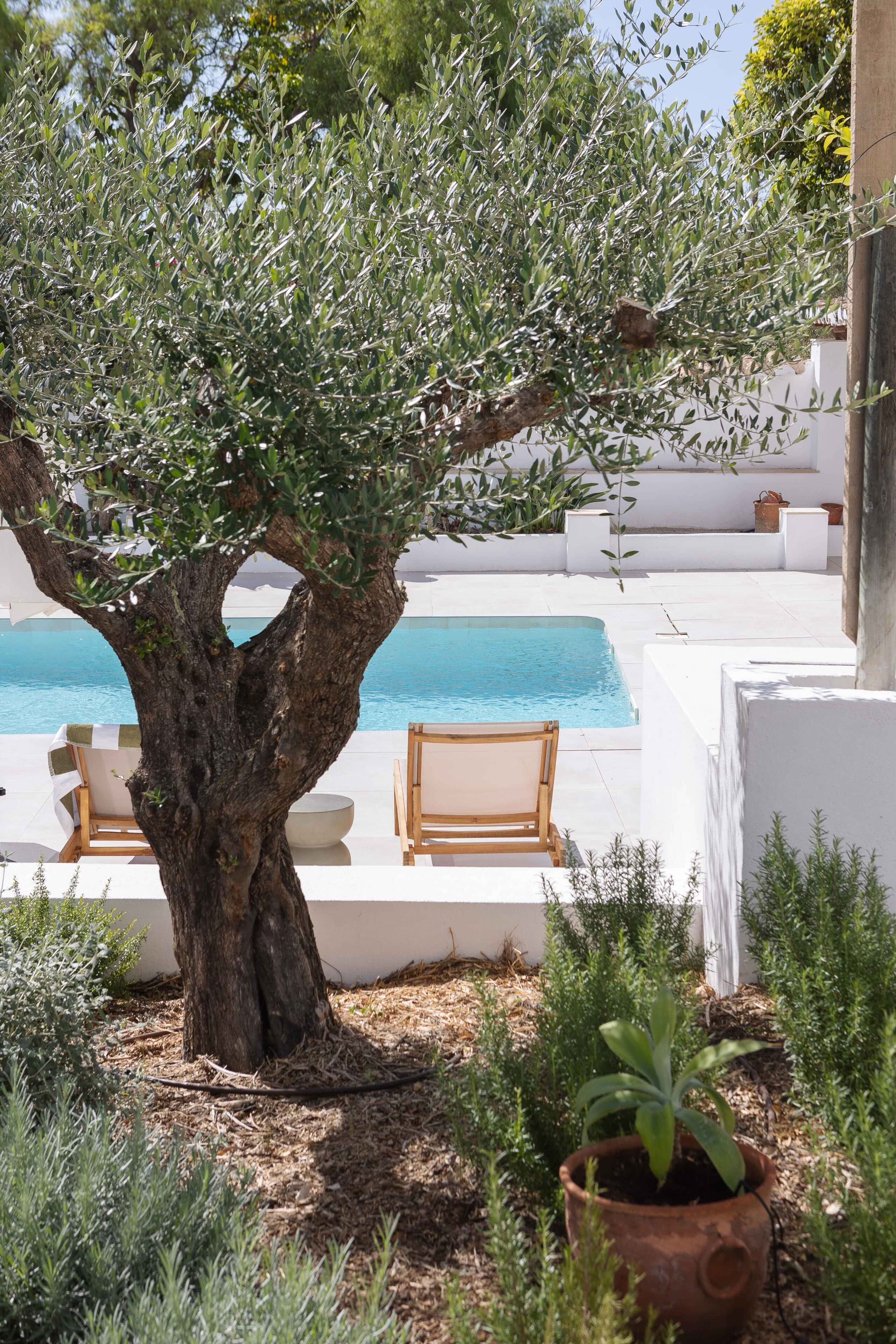 großer Baum vor Pool, Ferienhaus âmago
