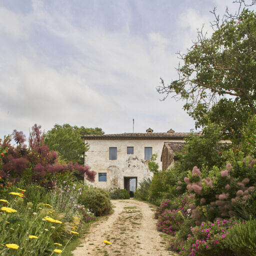Casale di Cellole – Italien, Toskana, Ferienhaus, Ferienwohnung