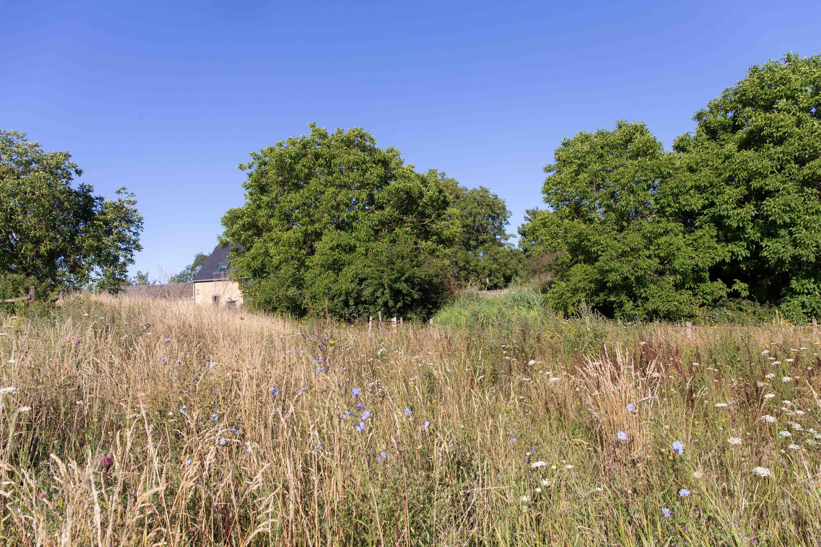 Natur rund um das Ferienhaus Maison Le Détour