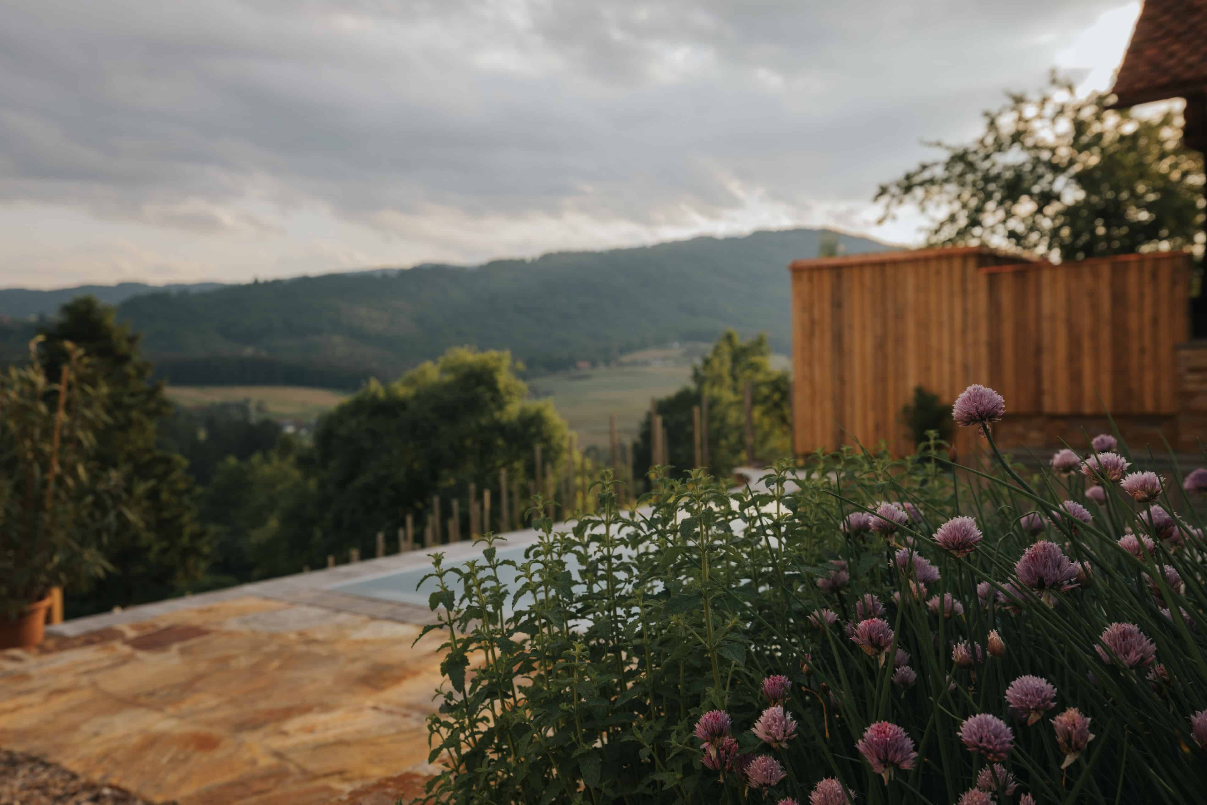 Blick auf den Pool, Am Wildbachberg