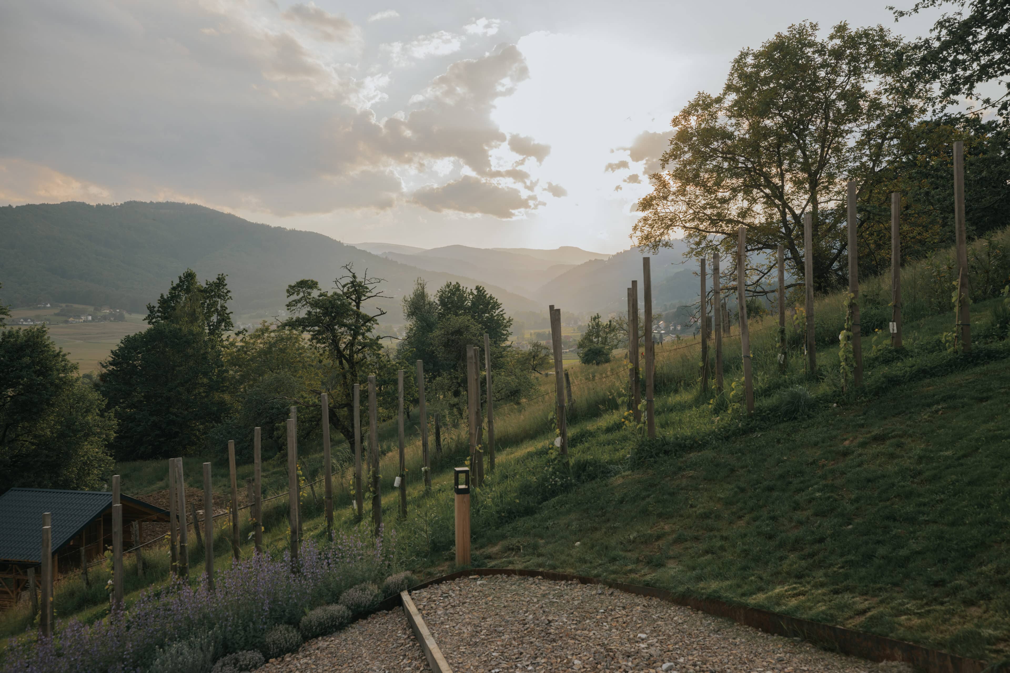 Garten, Am Wildbachberg