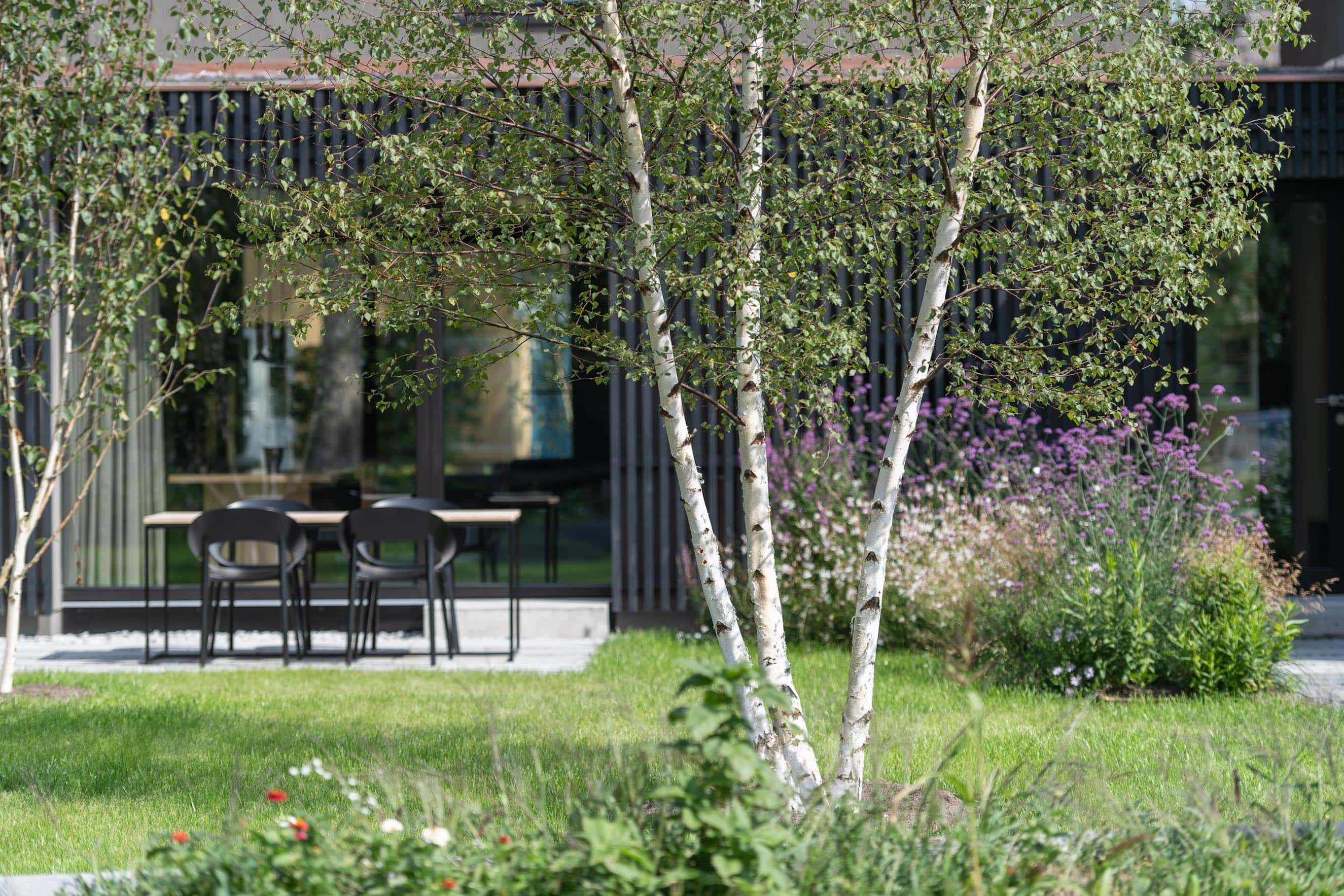 Garten mit Essecke mit Birken