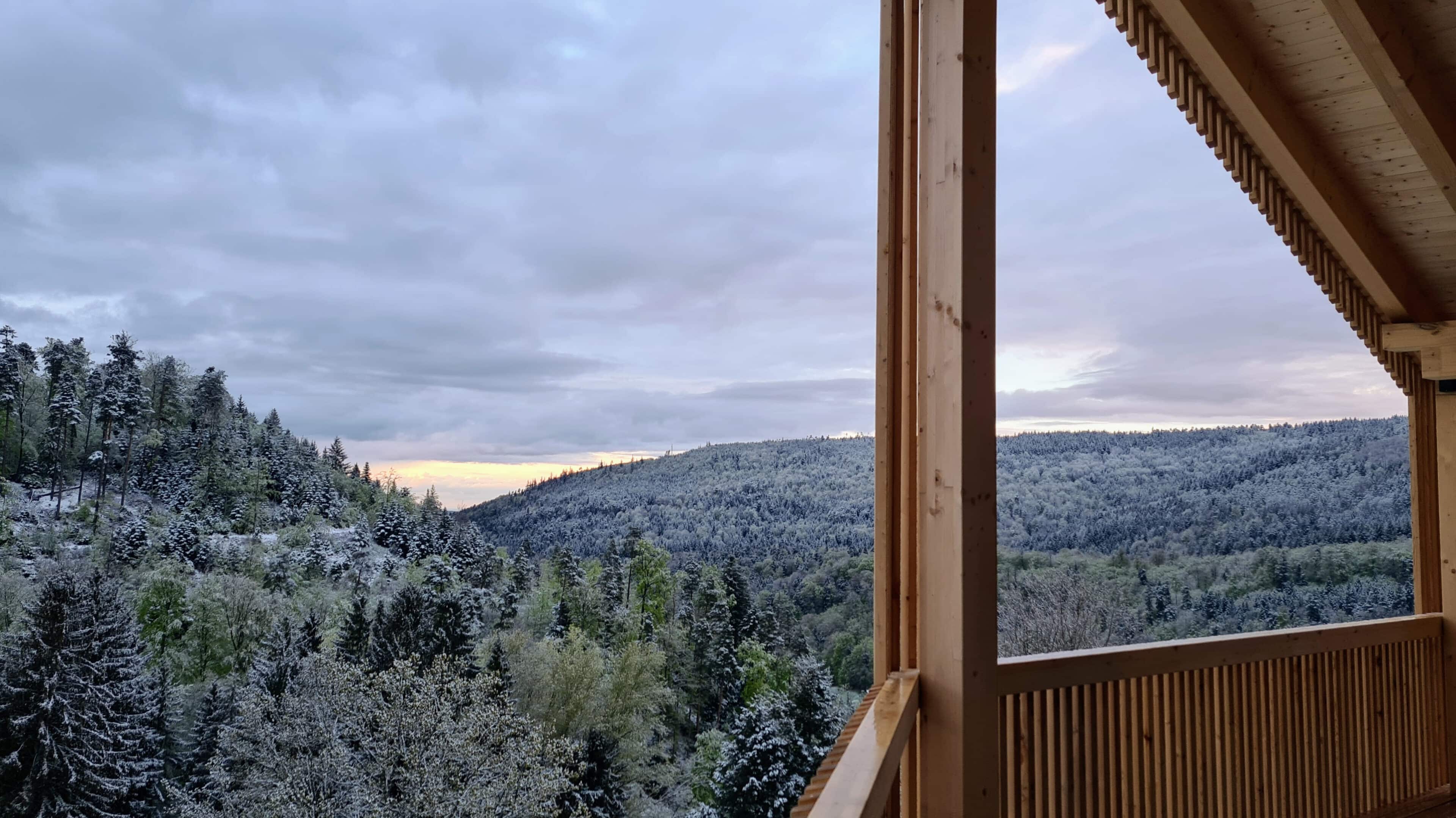 Ausblick auf die Berge und Wälder, SchwarzwaldDeck