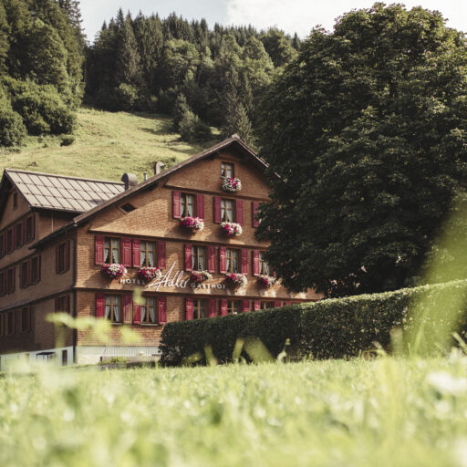 Der Adler Schoppernau – Österreich, Vorarlberg, Ferienwohnung, Hotel