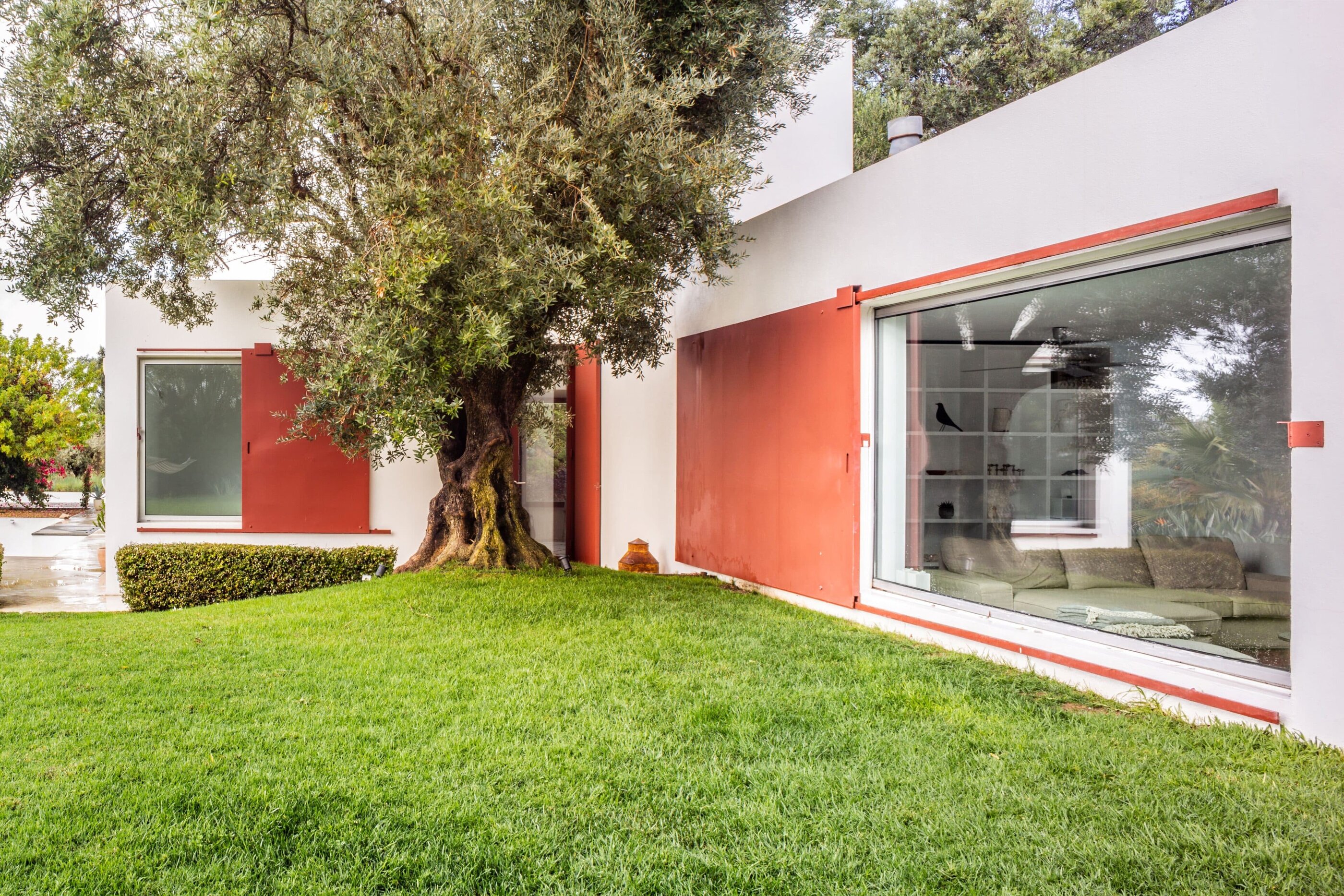 Blick auf Haus und Baum, Casa Agostos