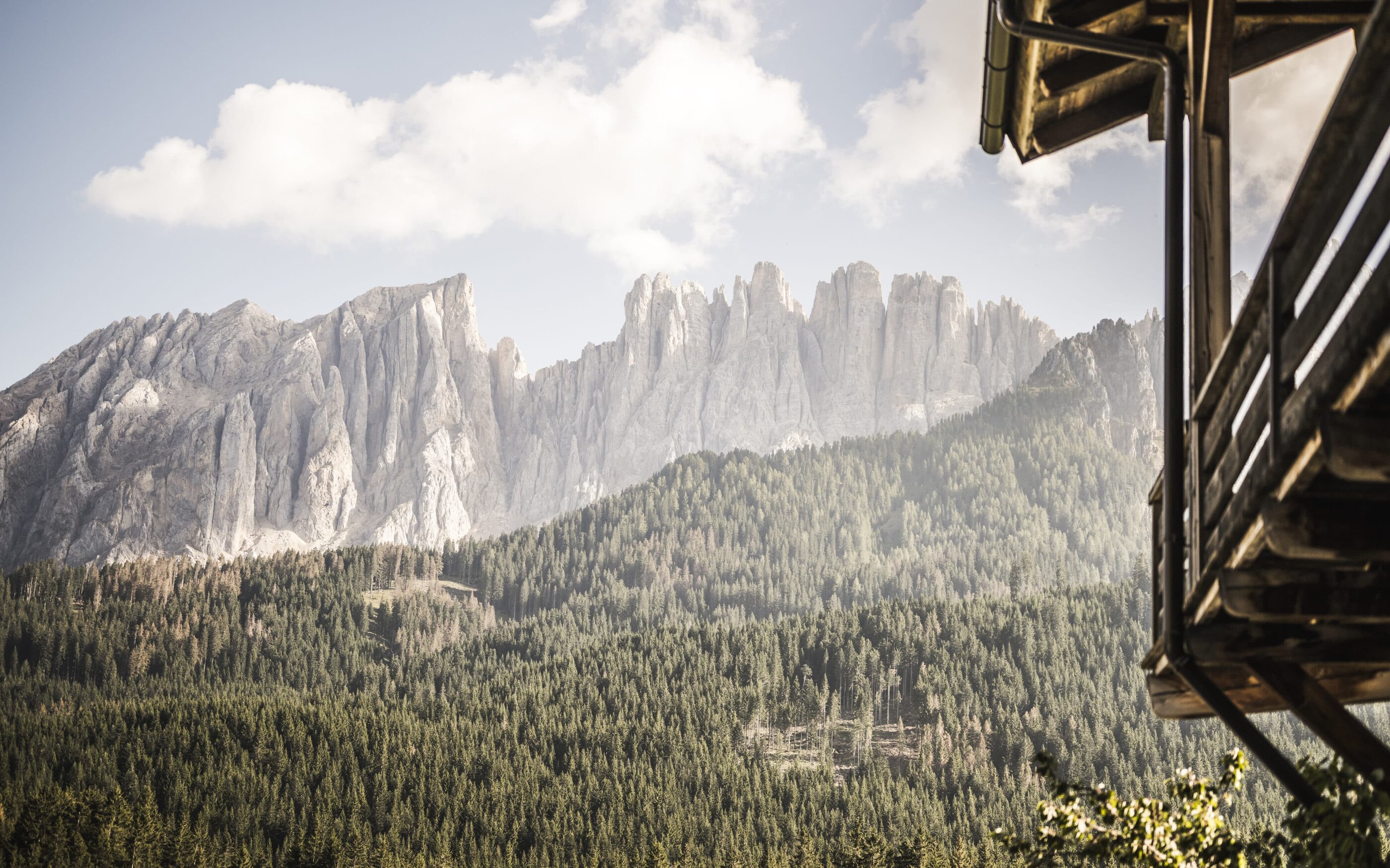 Aussicht auf die Berge aus allen Wohnungen