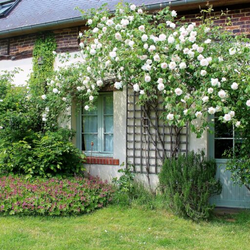 L'Epicerie du Pape – Frankreich, Normandie, BnB