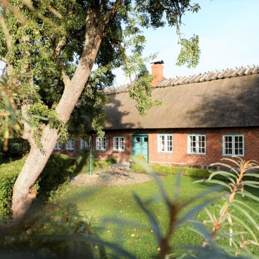 Reetdachkate Fuchsgraben – Deutschland, Ostsee, Schleswig-Holstein, Ferienhaus