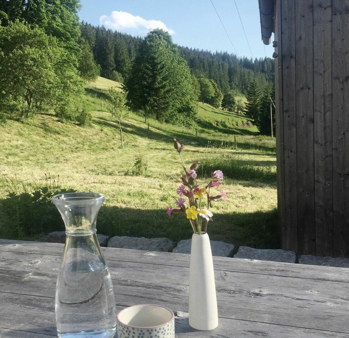 Terrassenblick ins Tal vom Seilerhansenhof