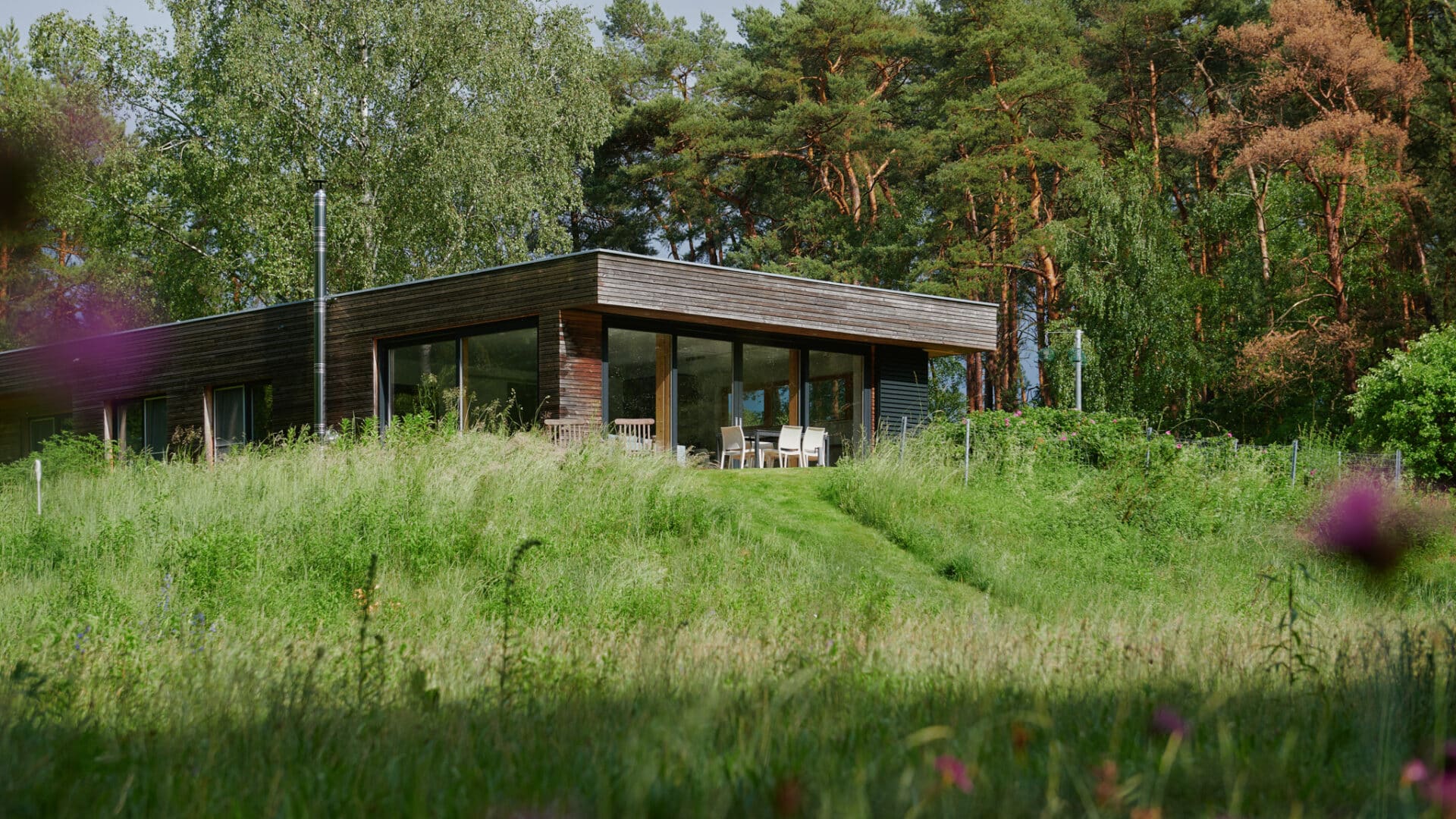 Wiese mit Haus