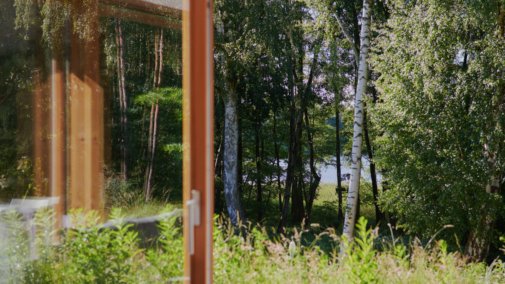 Geöffnete Tür zum Garten und zum Wald