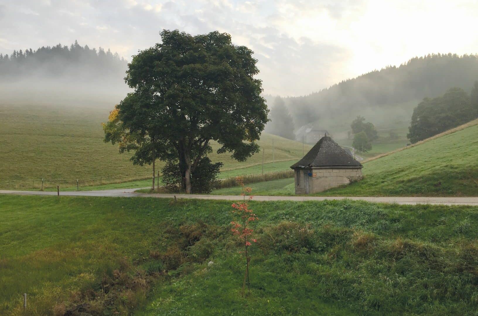 Ausblick von der Garderobe im Seilerhansenhof