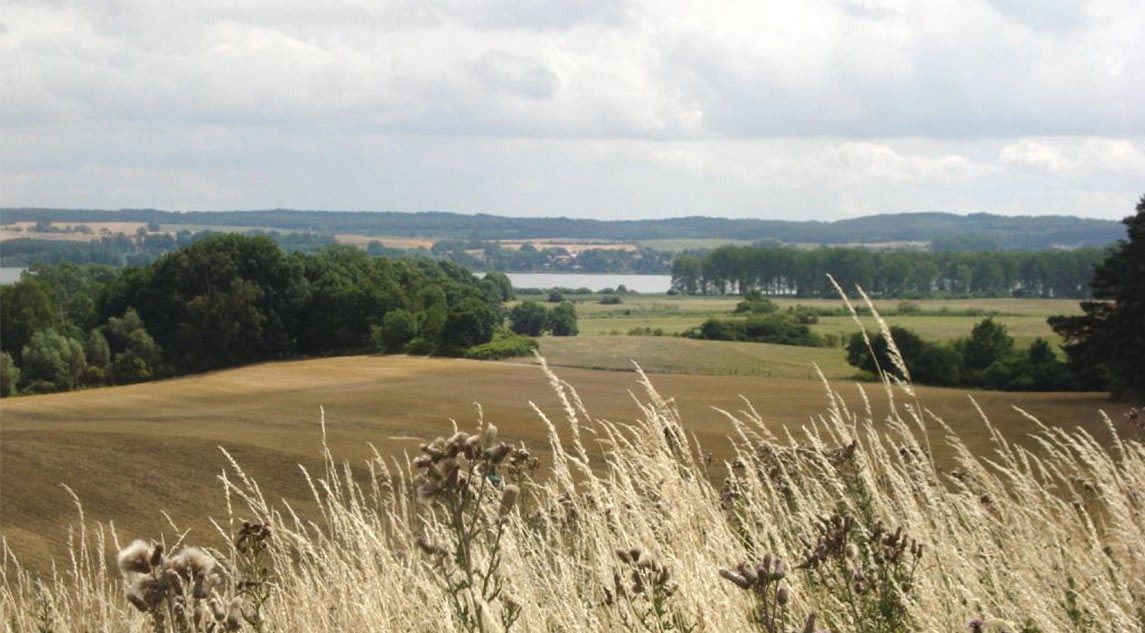 rote Scheune, Ferienhaus, Uckermark, besondere Architektur, Design