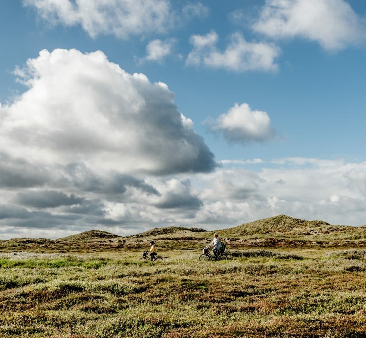 Cycling in National Park Thy, Denmark 4