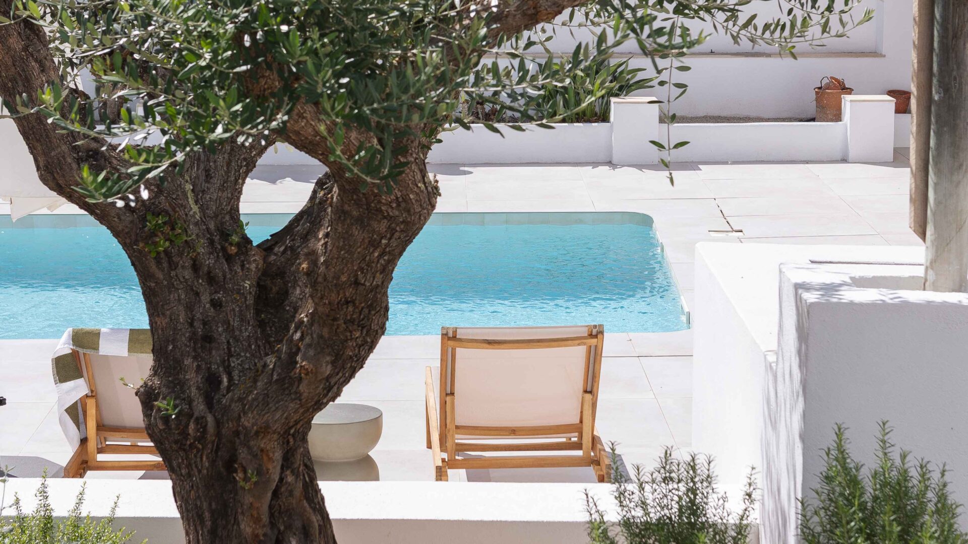 großer Baum vor Pool, Ferienhaus âmago