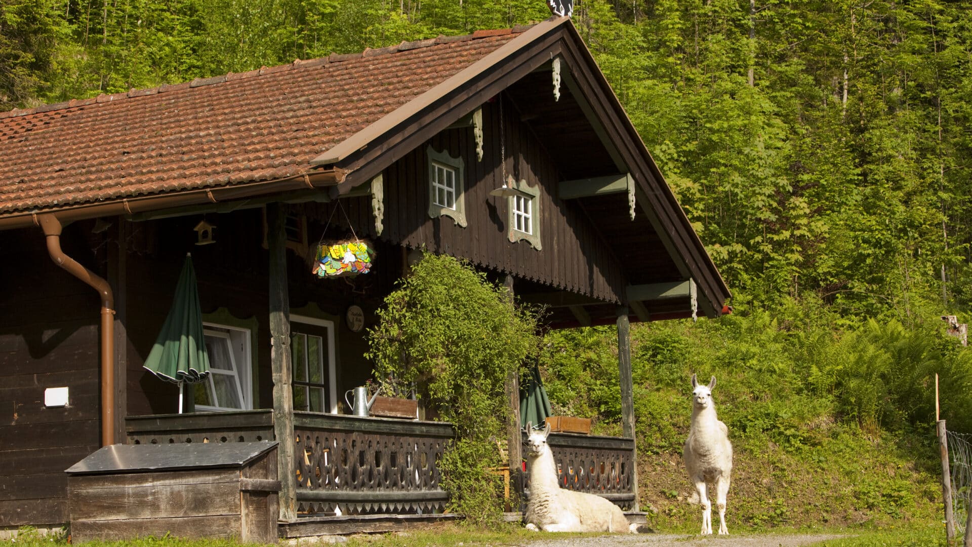 Naturresort Tannerhof, Bayrischzell, Bayern, Wellness, Luxushotel, Designhotel, Boutiquehotel