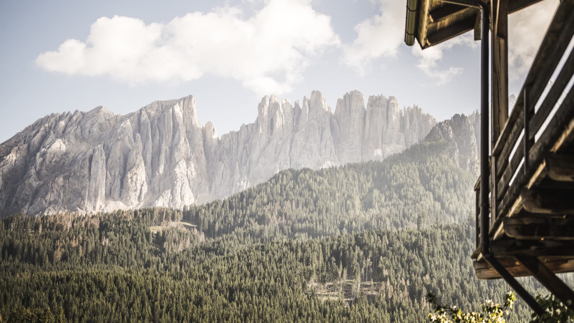 Aussicht auf die Berge aus allen Wohnungen