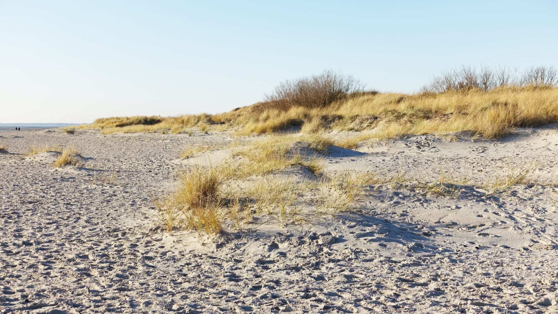 Dünen bei der Bi de Acht an der Nordseestrand