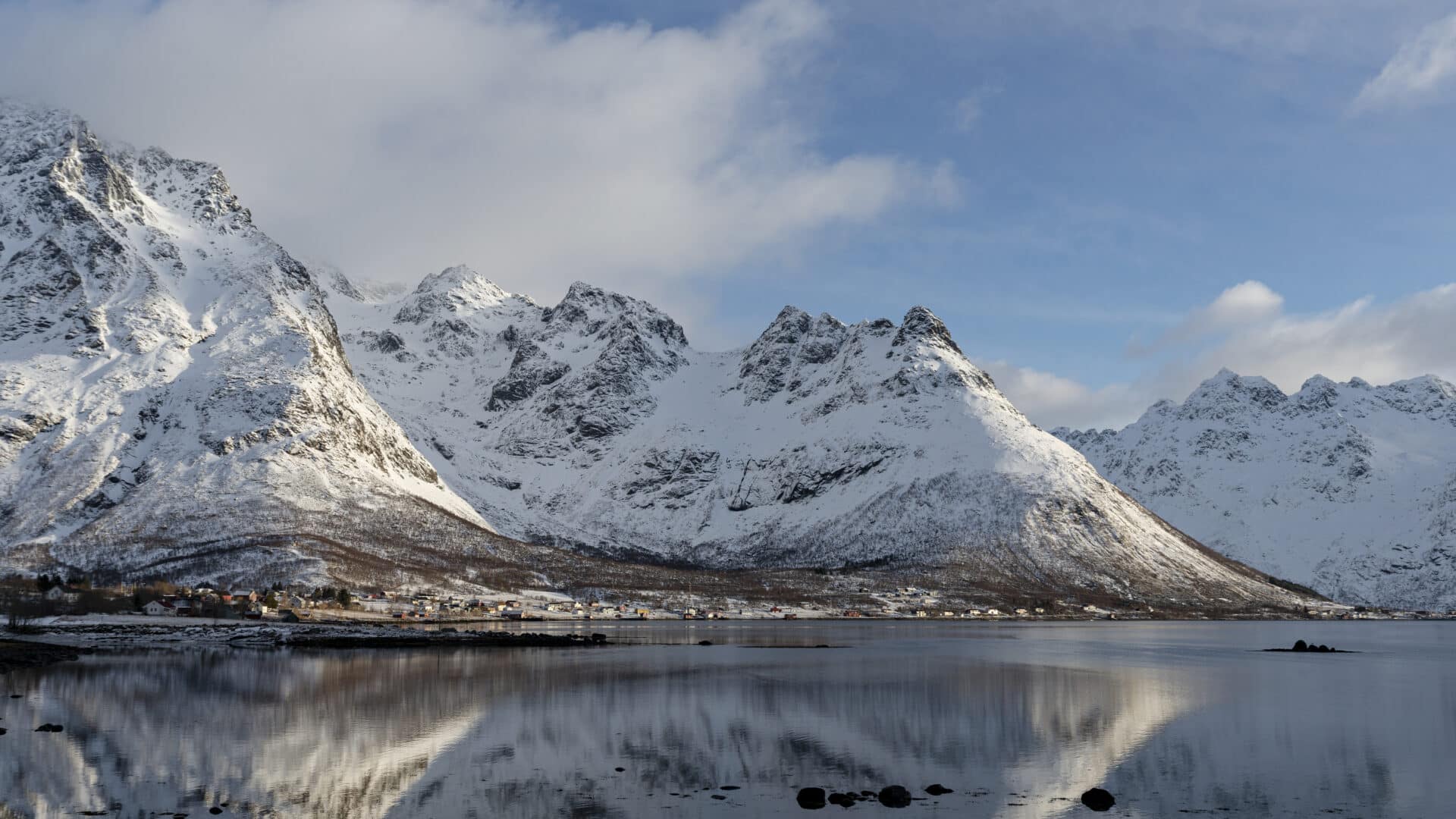 Detail: Lofoten