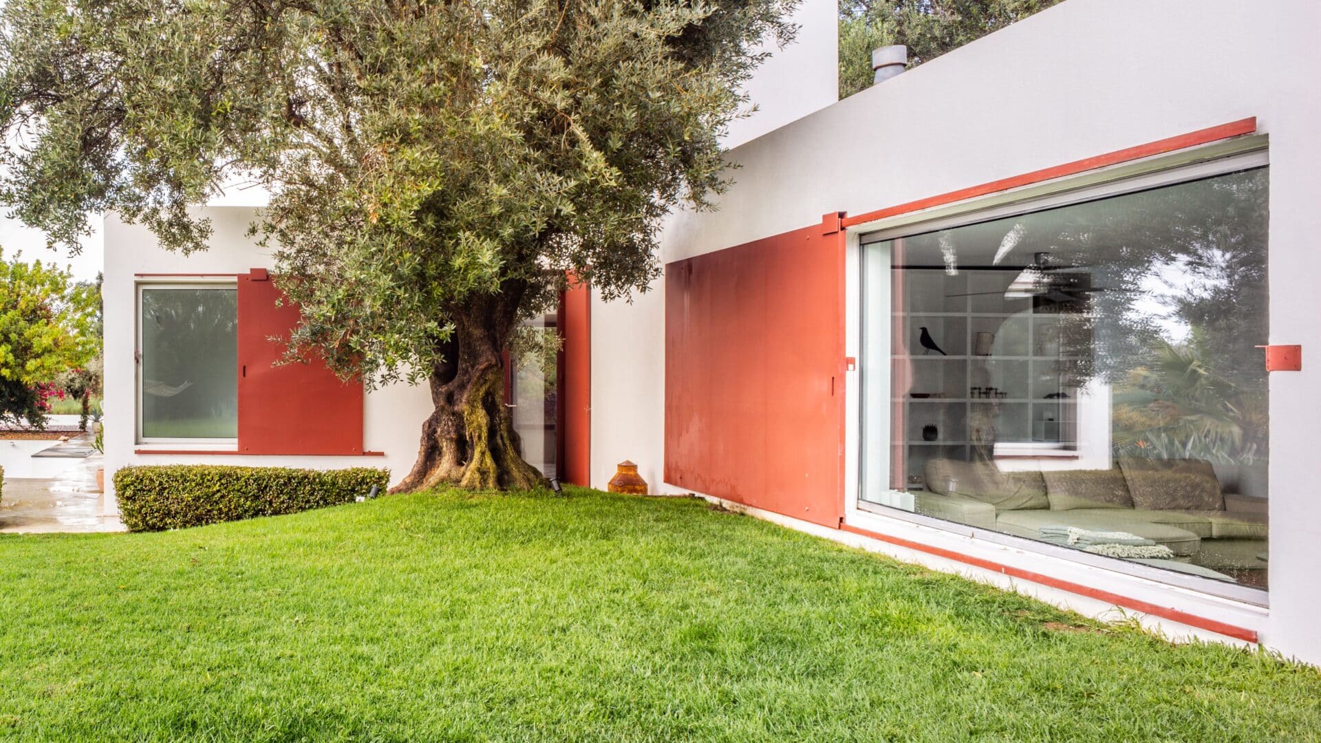 Blick auf Haus und Baum, Casa Agostos