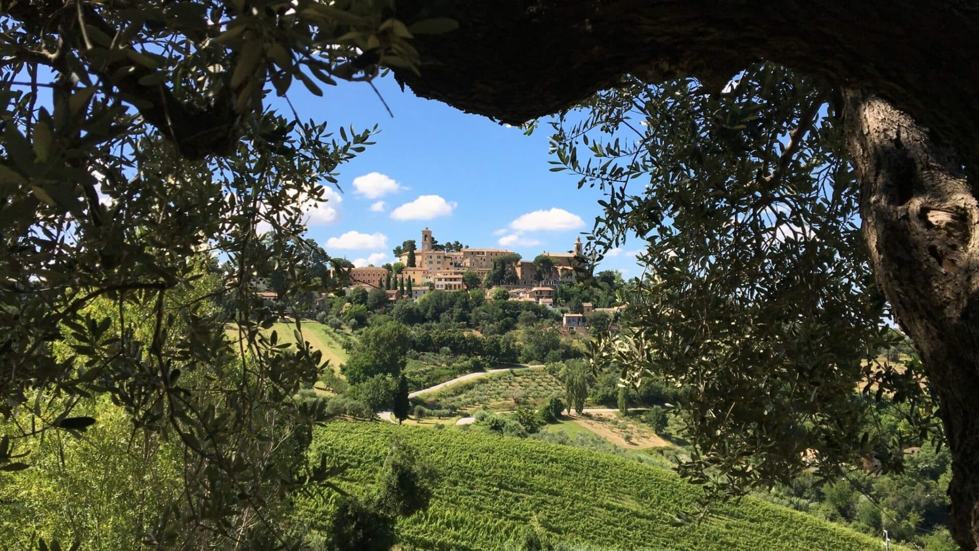 Castelbellino