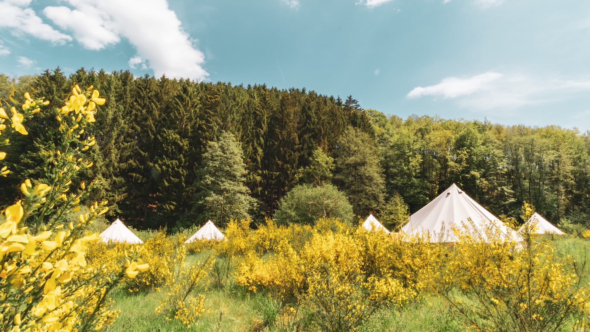 Tipis im Daft Hotel