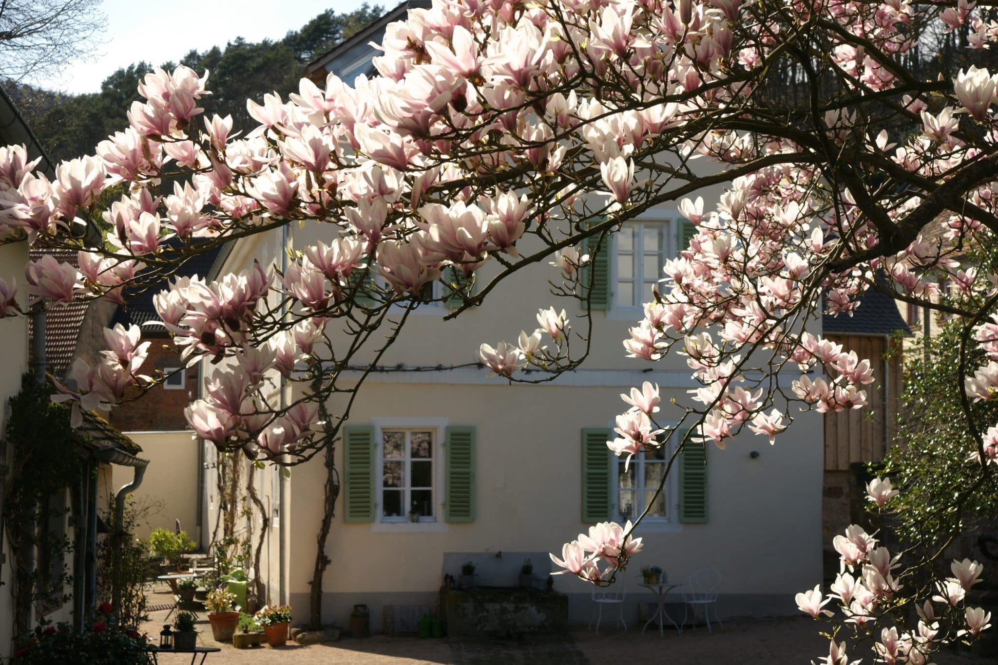 Barthélemy Manor House — photo 4