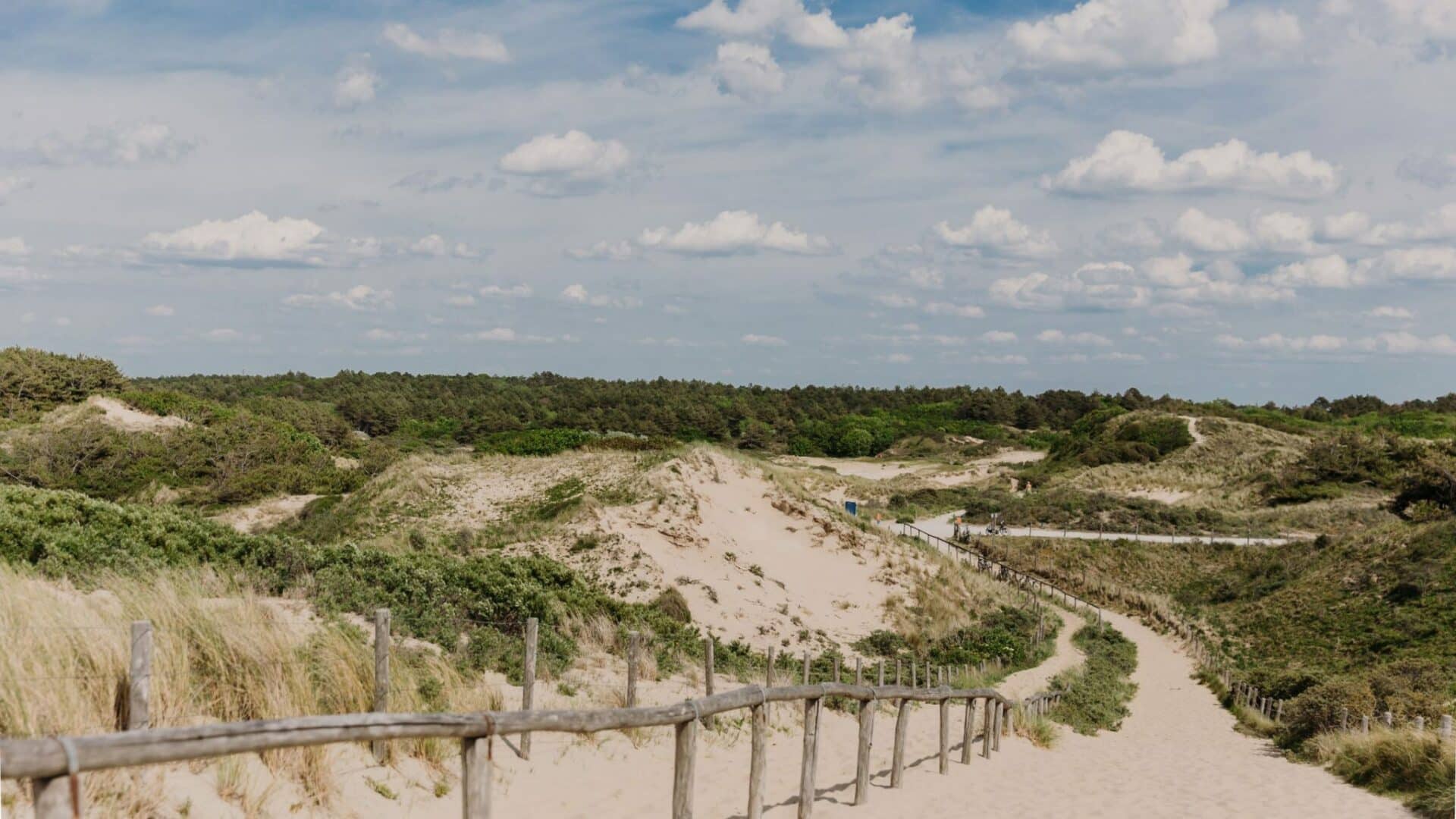 duinen-noordwijk