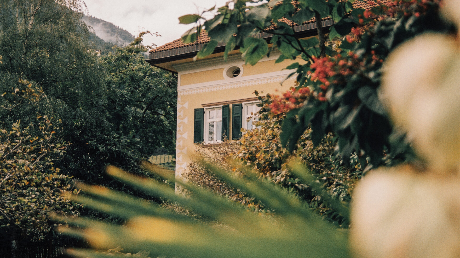 Villa_Arnica