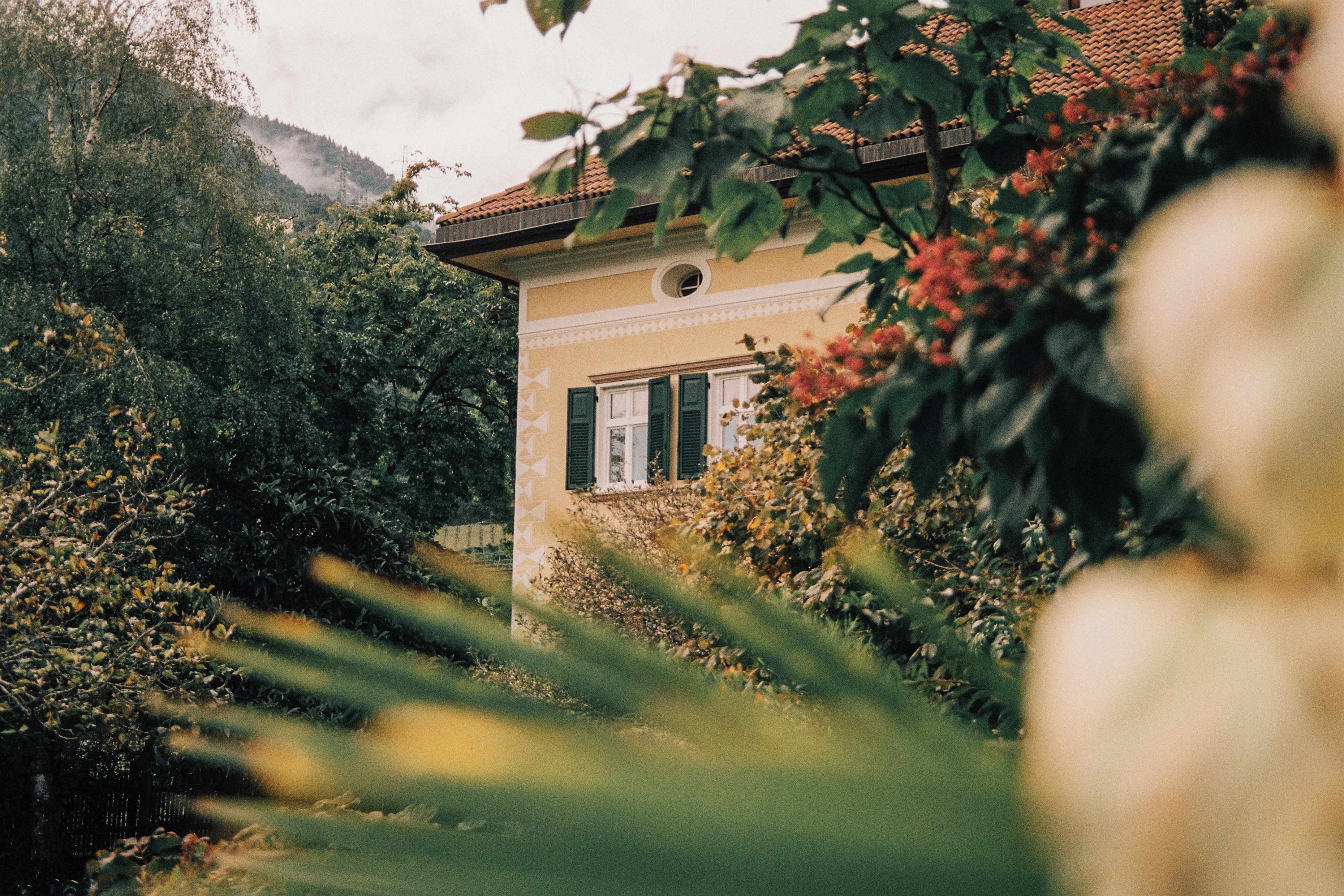 Villa_Arnica