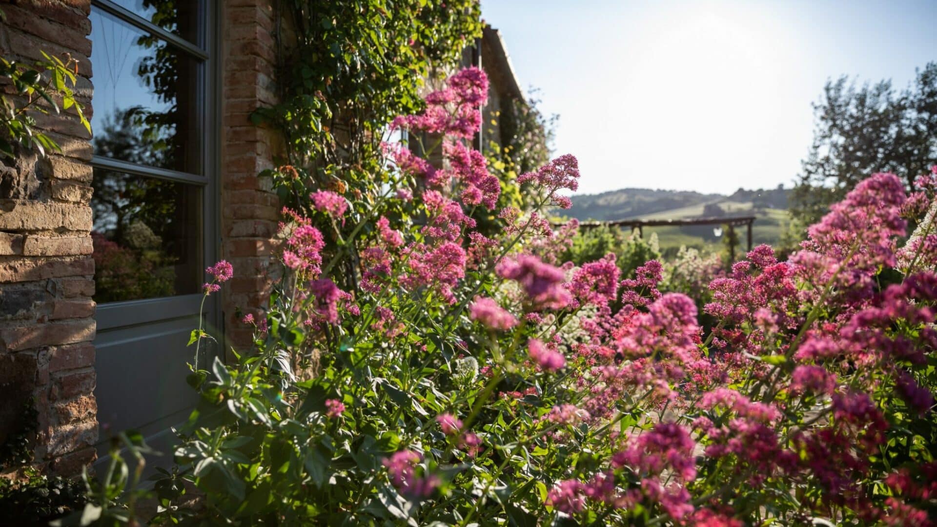Follonico20190605_0045