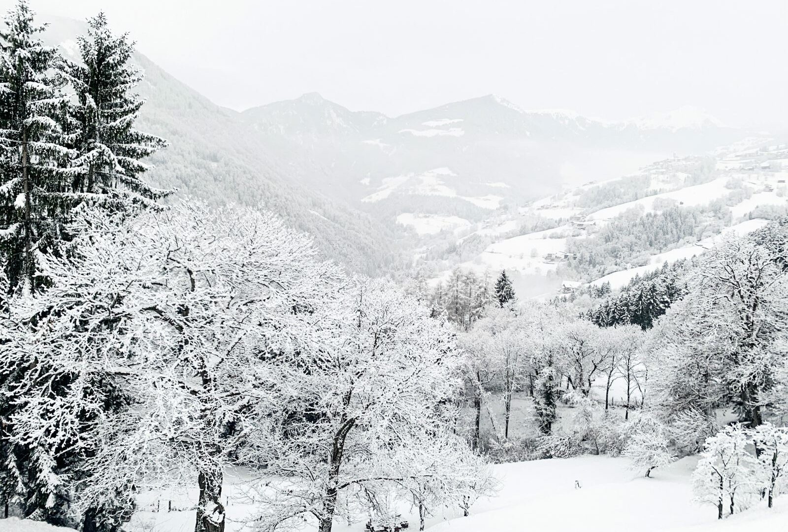Winterlandschaft um das Gästehaus Freiform