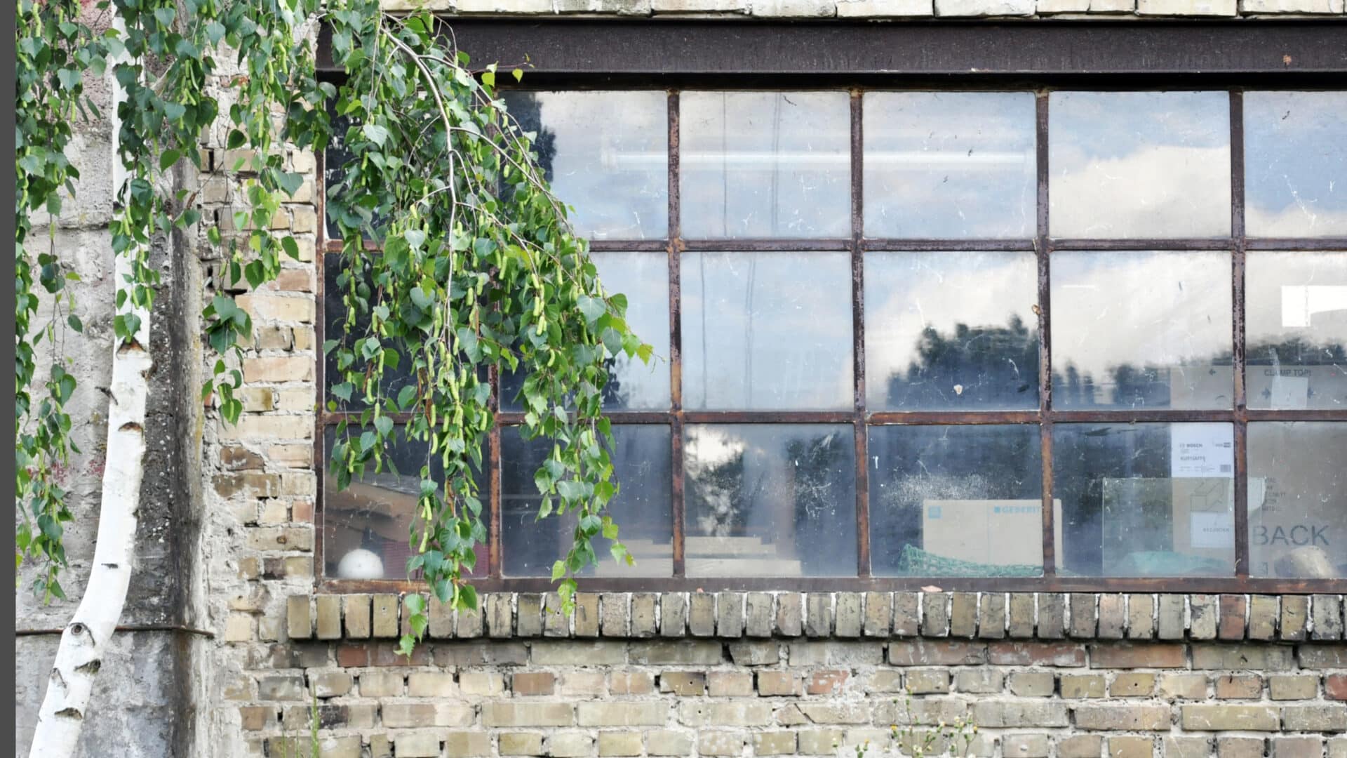 Fenster im Garten des Schockelgaul