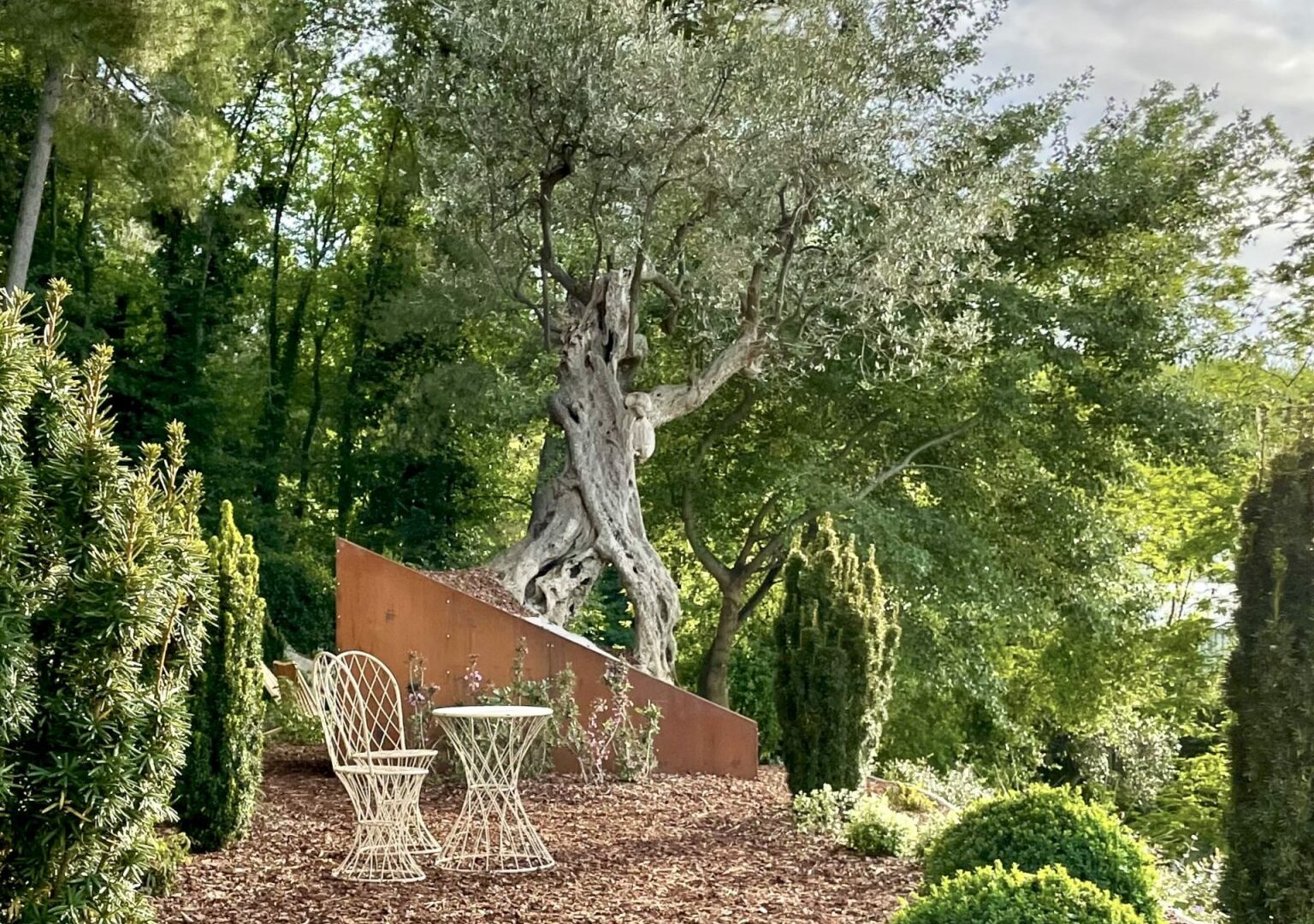 Garten2