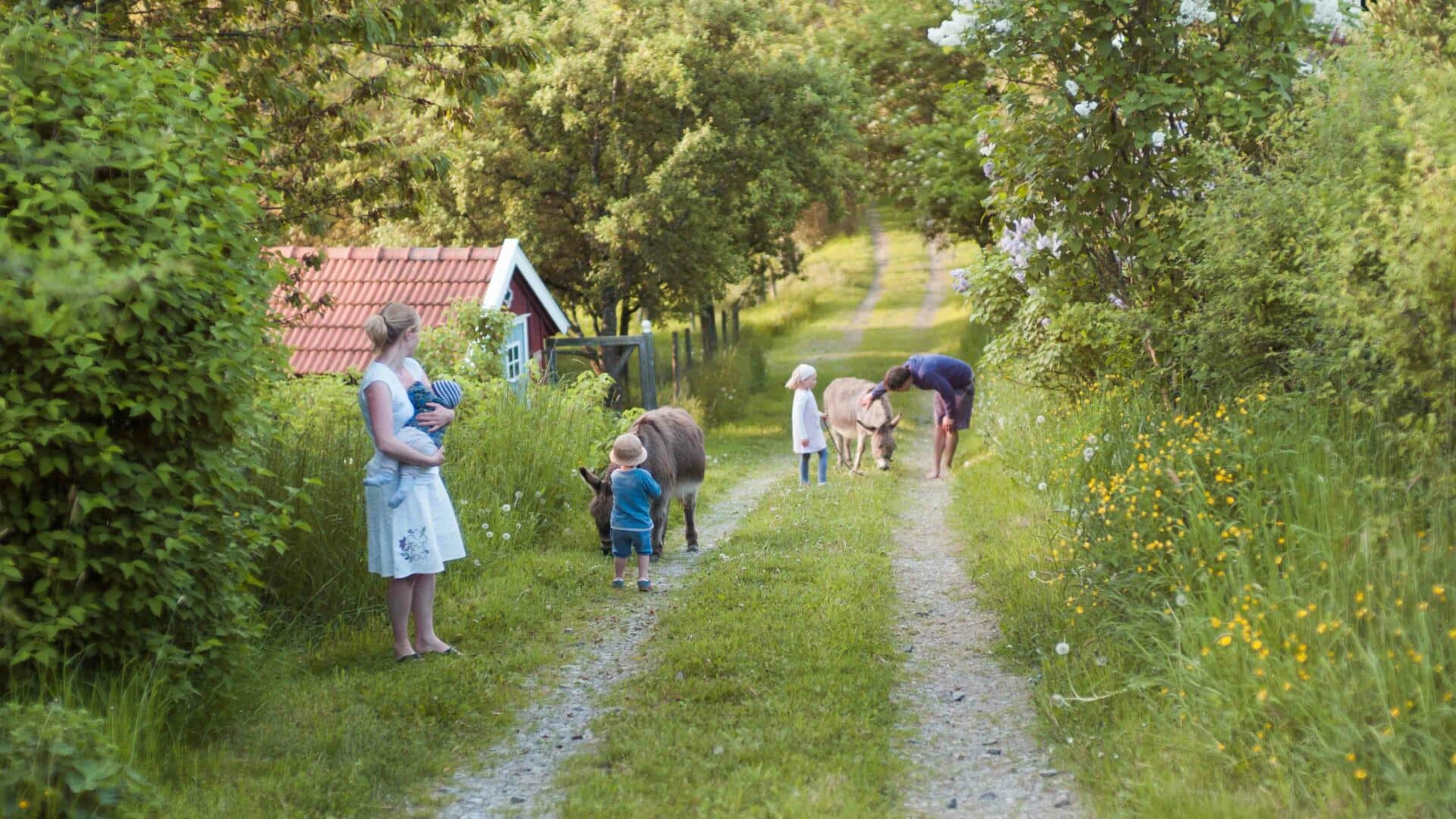 Familie auf dem Spaziergang trifft Esel beim Hof Grillenöd
