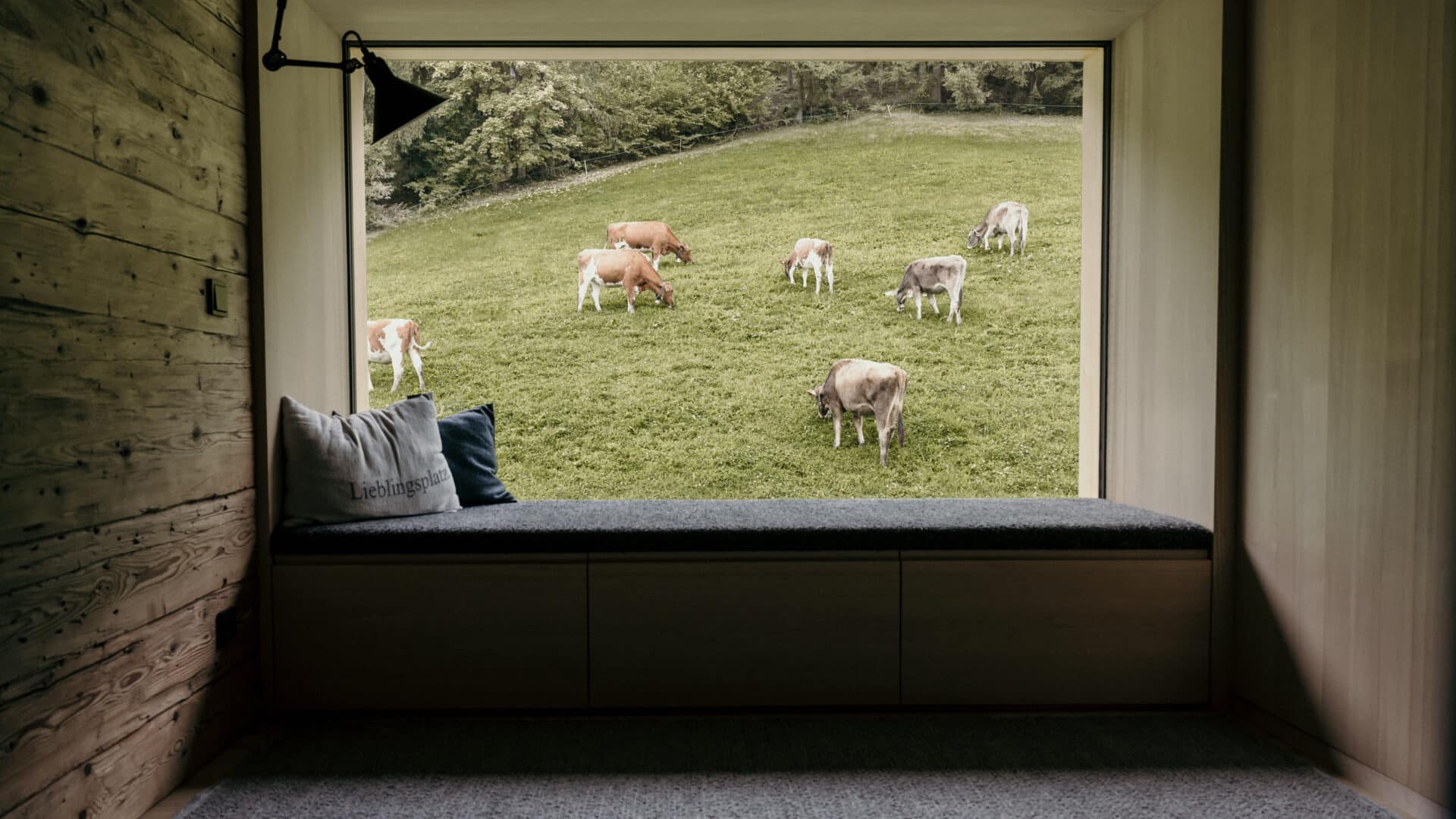 Ausblick auf eine Kuhwiese im Halwina Hideaway