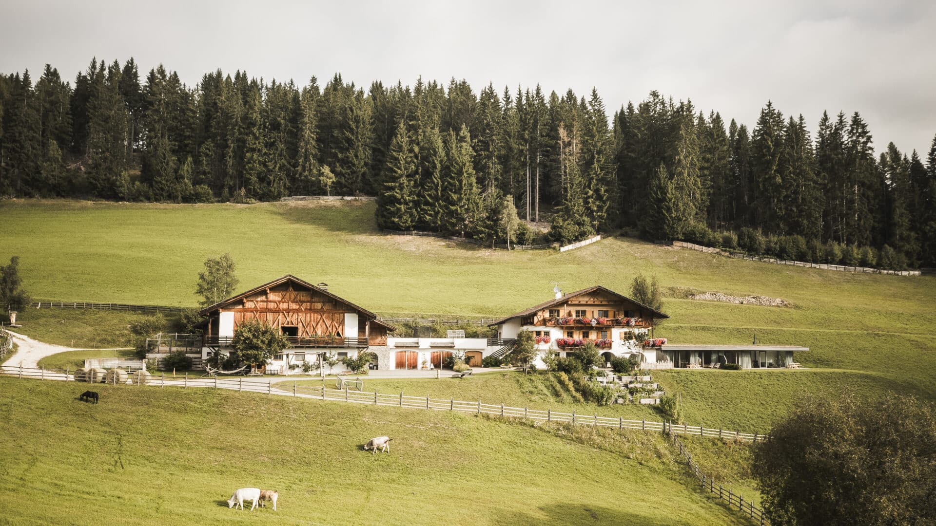Zwei Holzhäuser eines Biobauernhofs in den Bergen