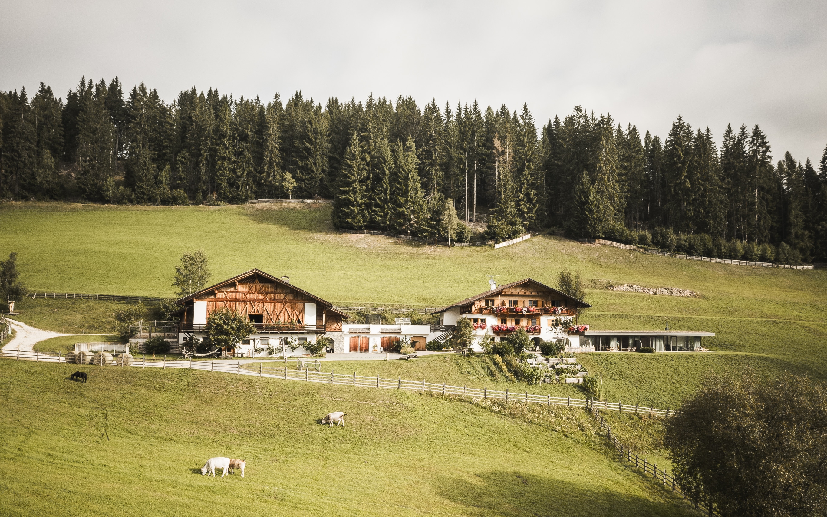 Zwei Holzhäuser eines Biobauernhofs in den Bergen