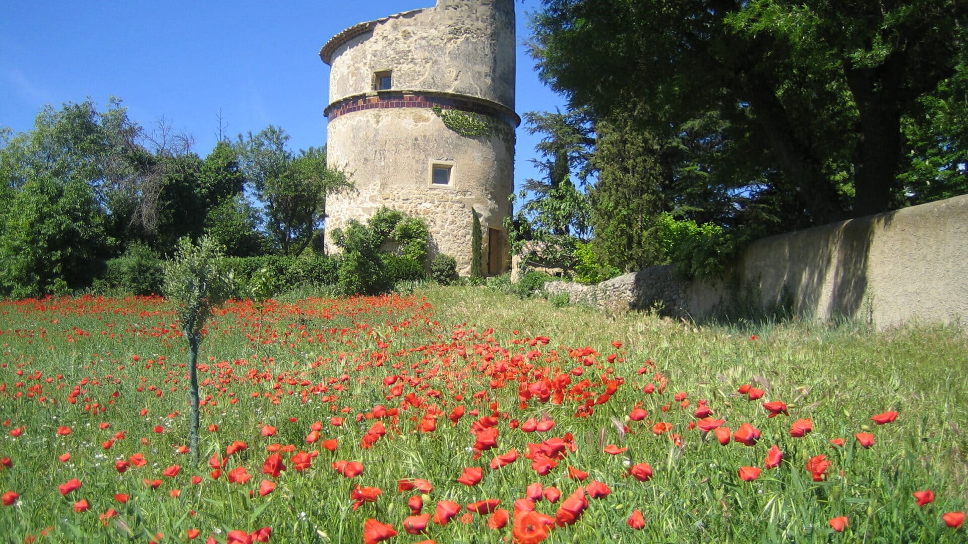 Turm mit blühender Wiese davor, Le Pigeonnier