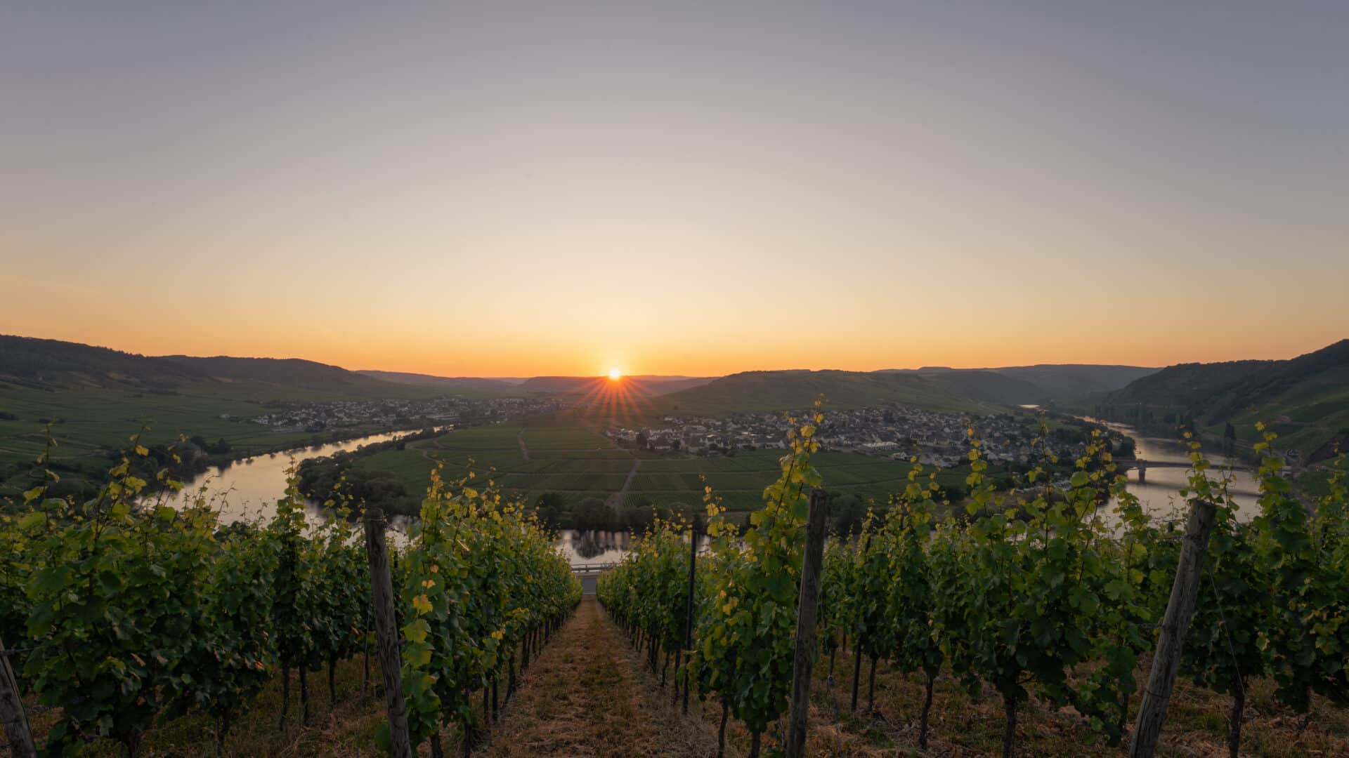 Detail: Mosel und Weinberge, Klara Rooms
