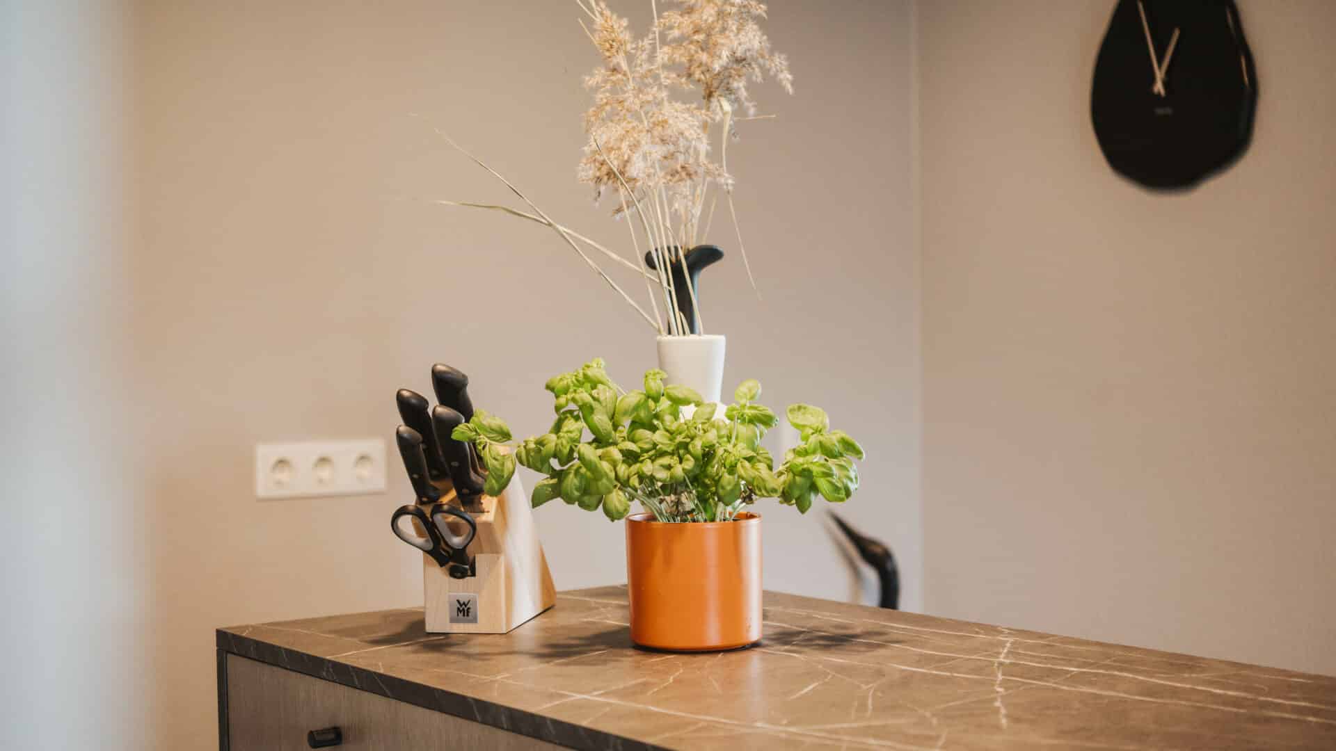 Basilikumtopf und Trockenblumen im Seehotel Gronau