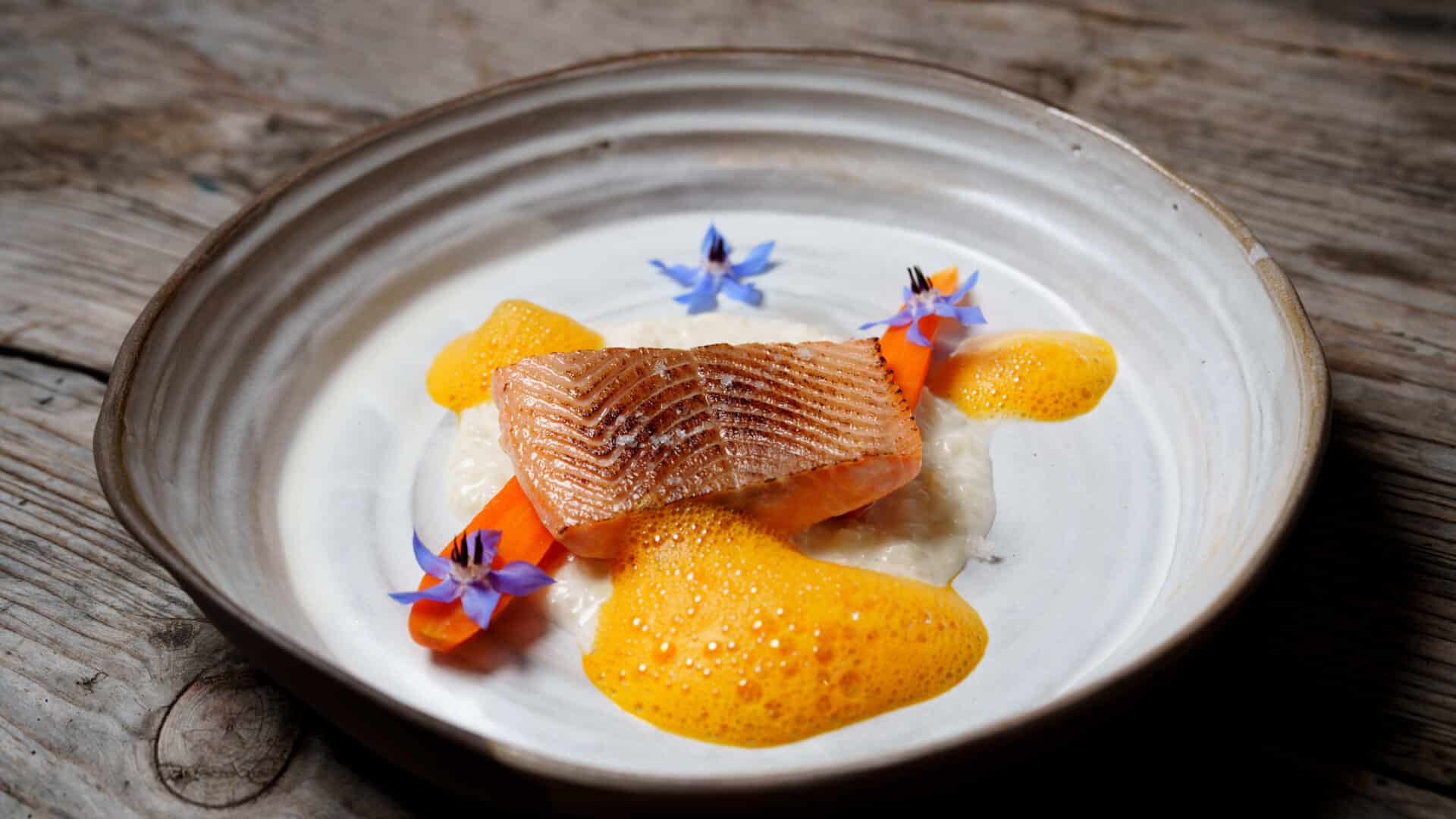 Lachsforelle, Kohlrabi, Macadamianussmilch, Karotte, Salzzitrone