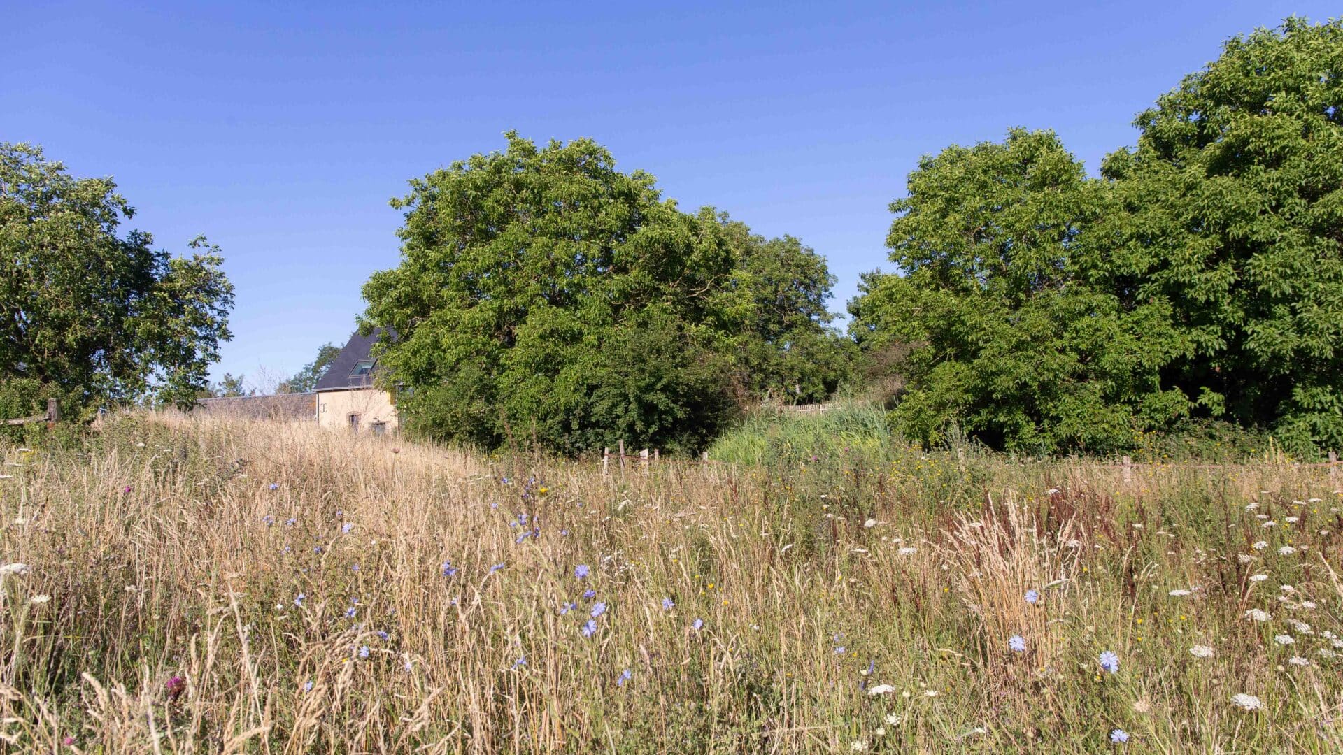Natur rund um das Ferienhaus Maison Le Détour