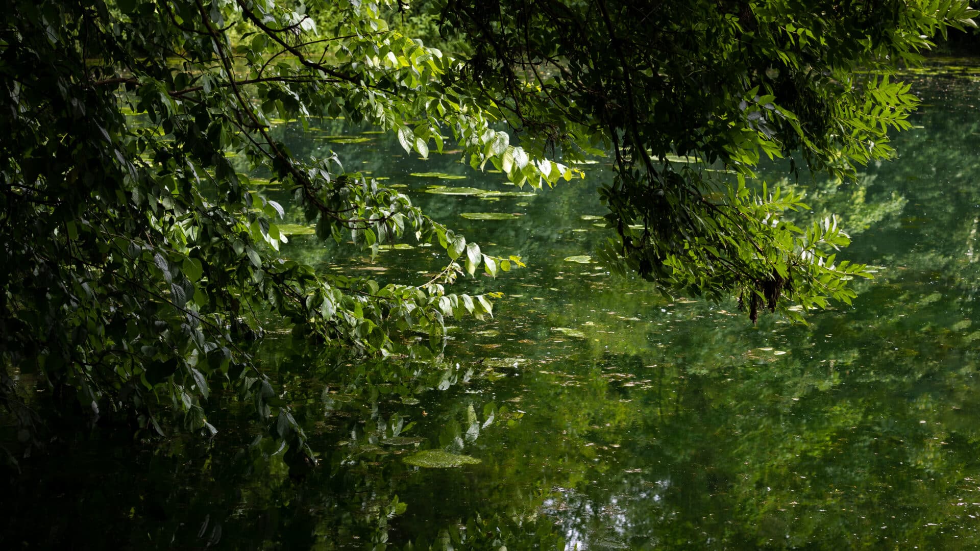 Detail See am Moulin Moulin