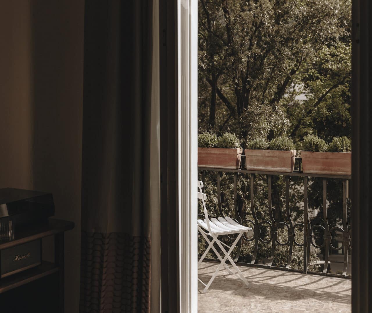 Ausblick auf Palmen vom Balkon im Parkhotel Mondschein
